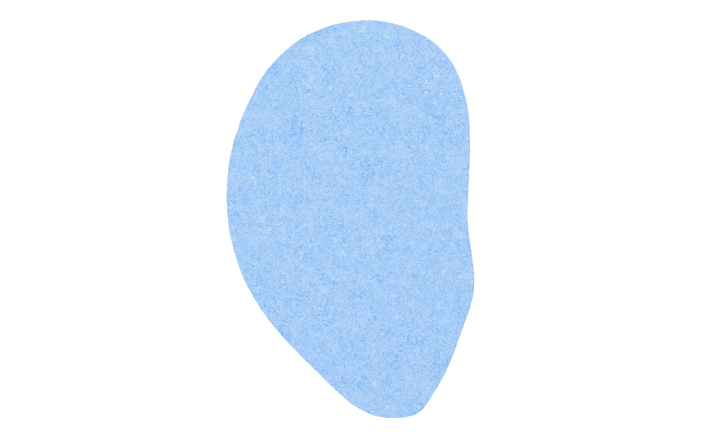 Picture of 4" Econo Compressed Ear Sponge