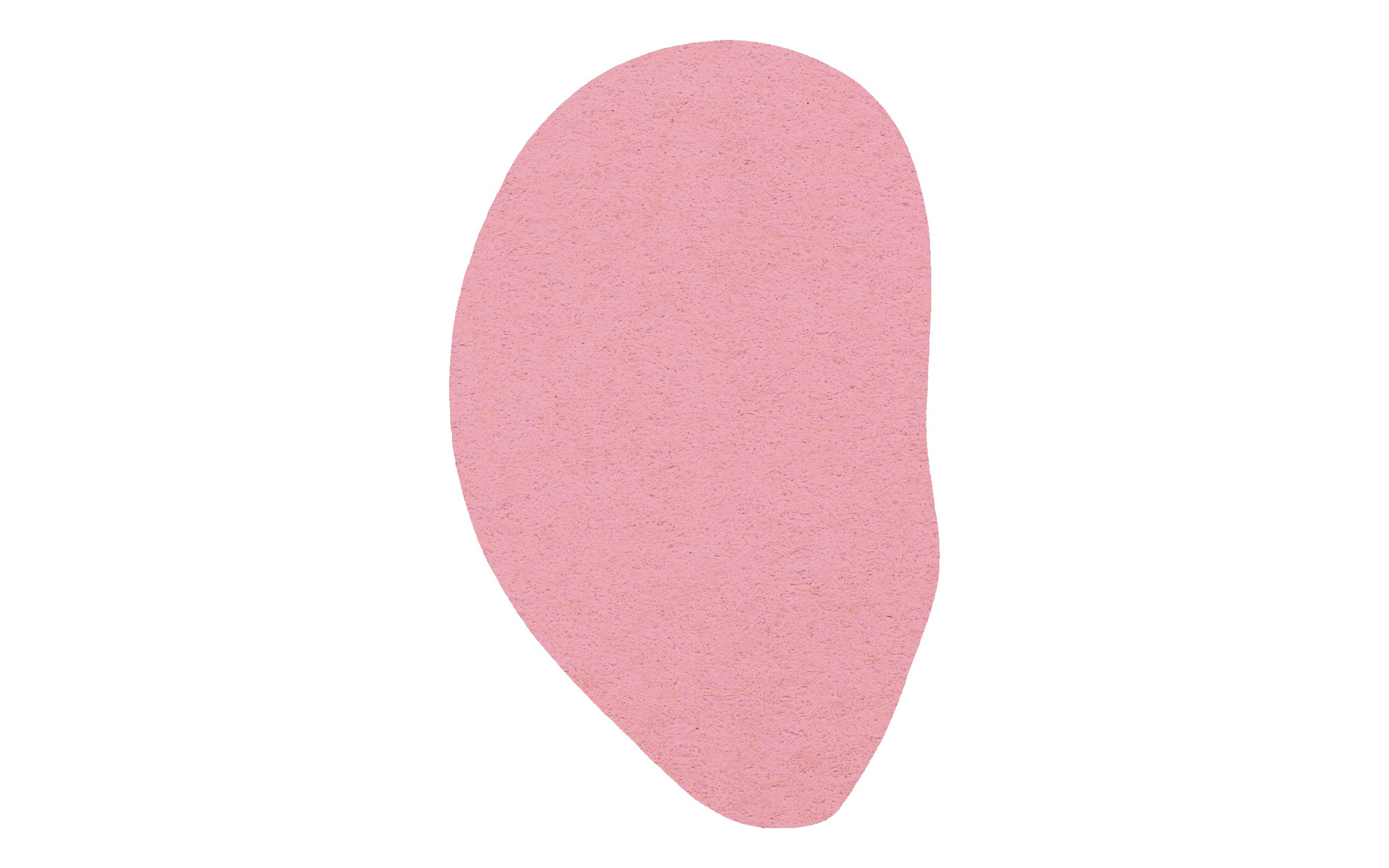 Picture of 4" Econo Compressed Ear Sponge