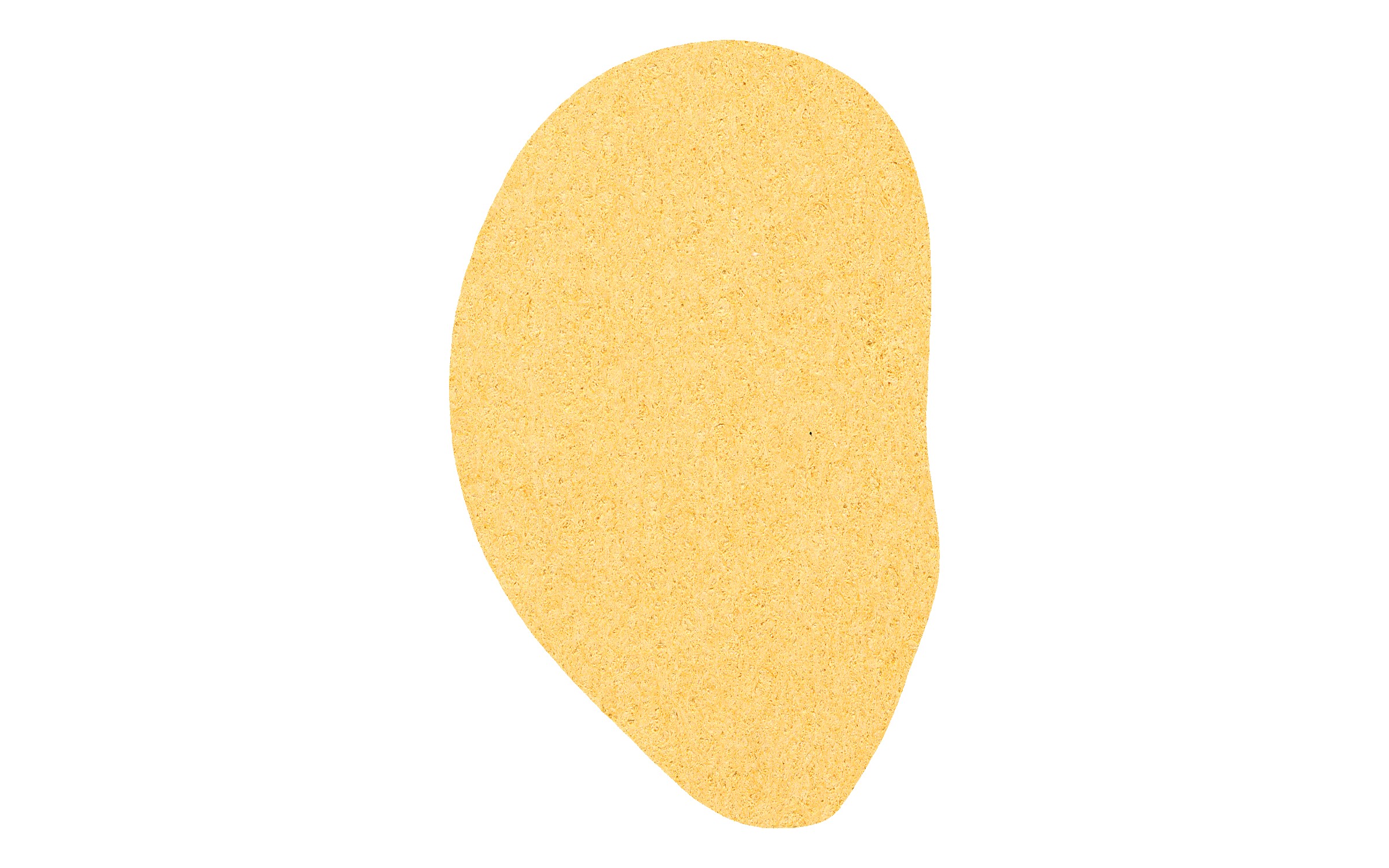 Picture of 4" Econo Compressed Ear Sponge