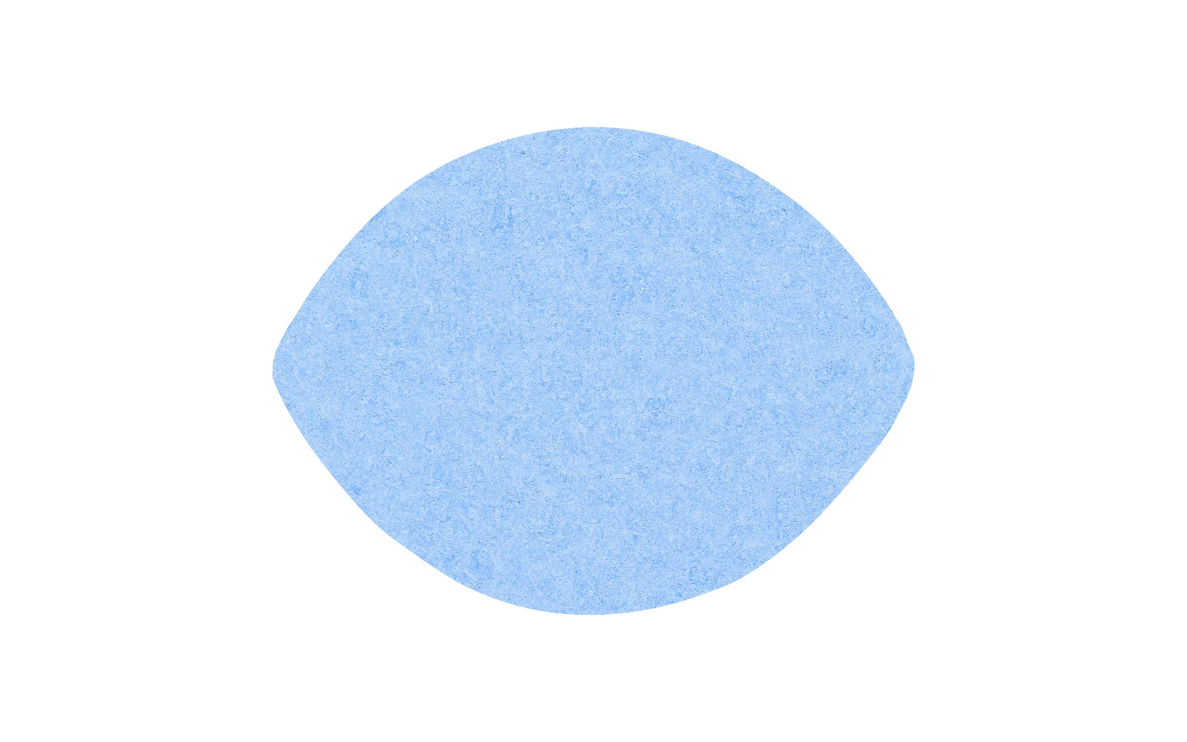 Picture of 4" Econo Compressed Football Sponge