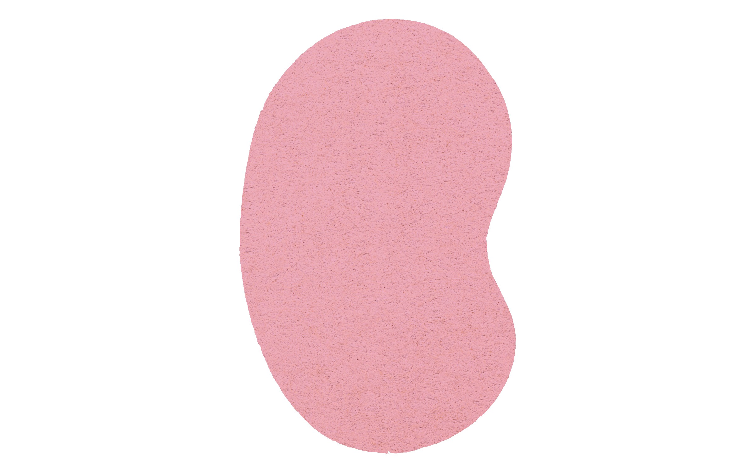 Picture of 4" Econo Compressed Kidney Sponge