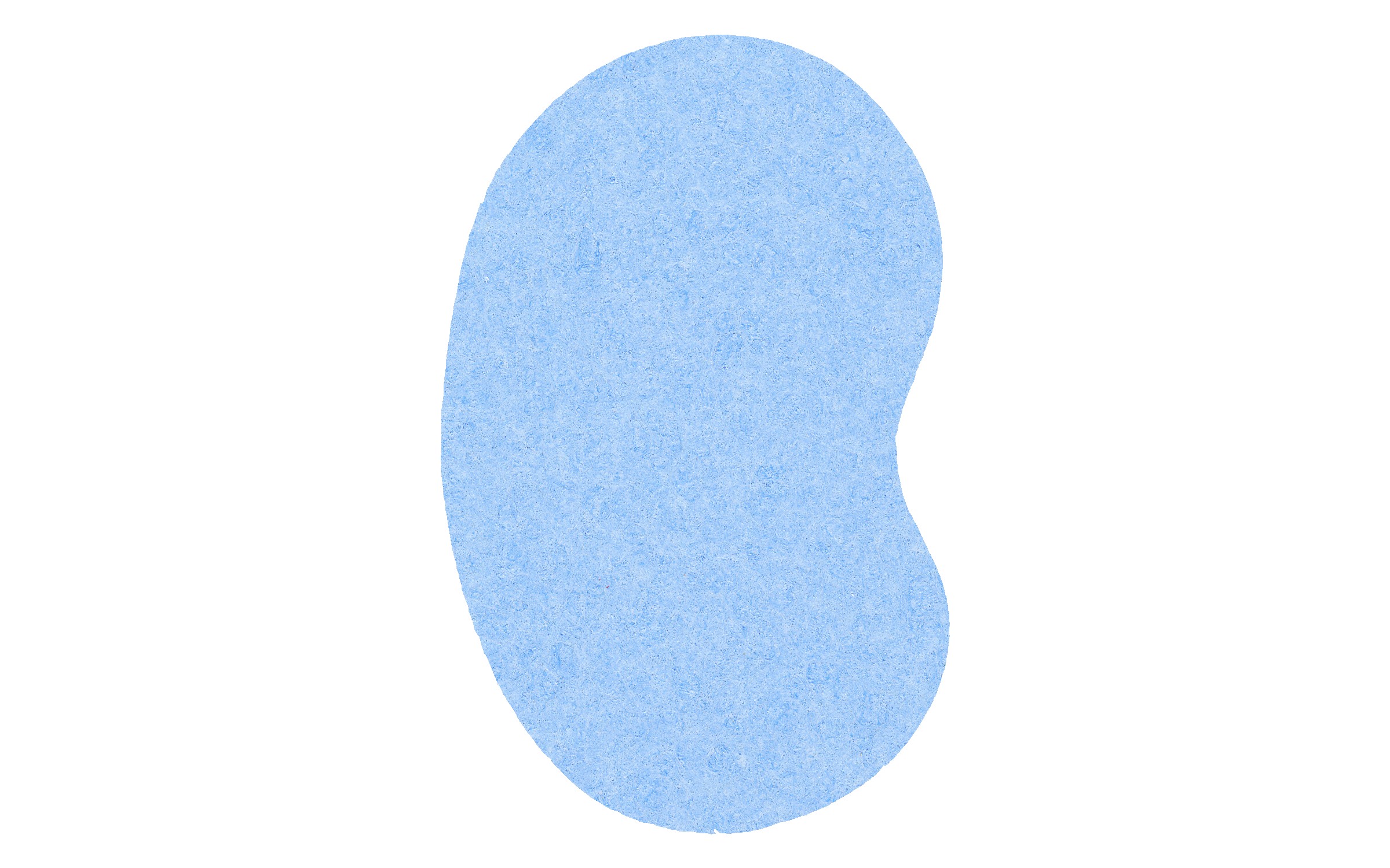 Picture of 4" Econo Compressed Kidney Sponge