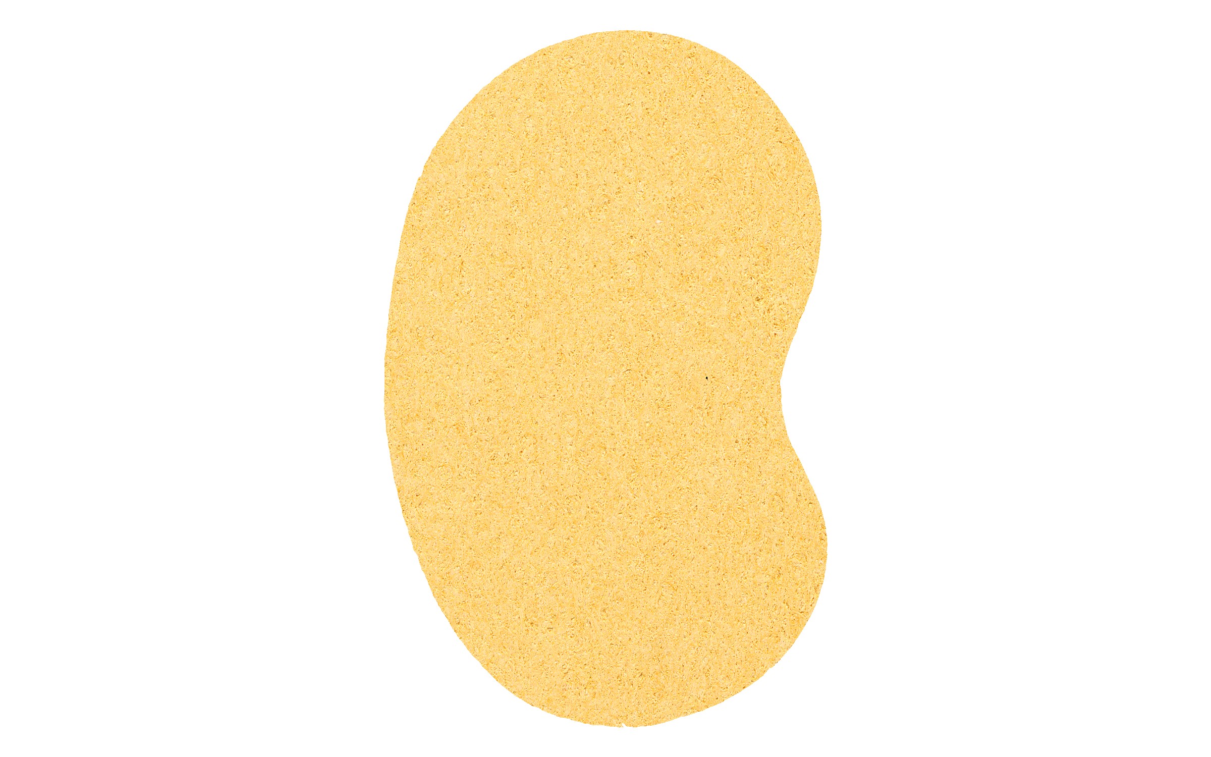 Picture of 4" Econo Compressed Kidney Sponge