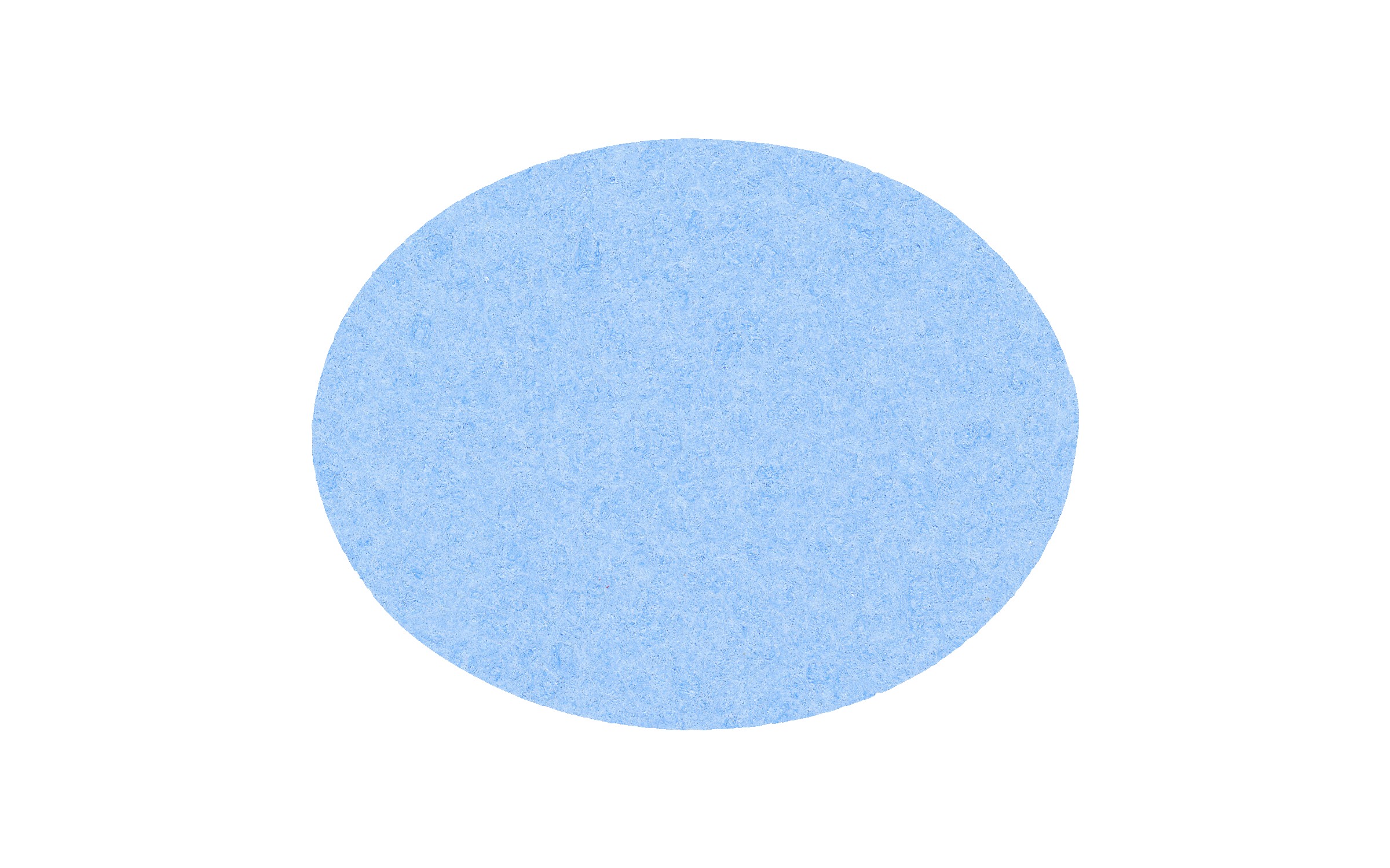Picture of 4" Econo Compressed Oval Sponge