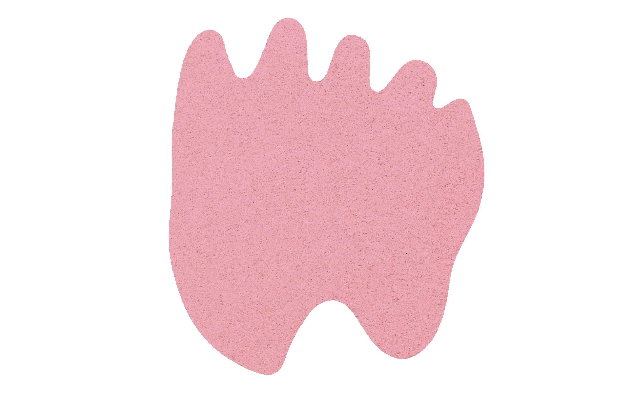 Picture of 4" Econo Compressed Paw Sponge