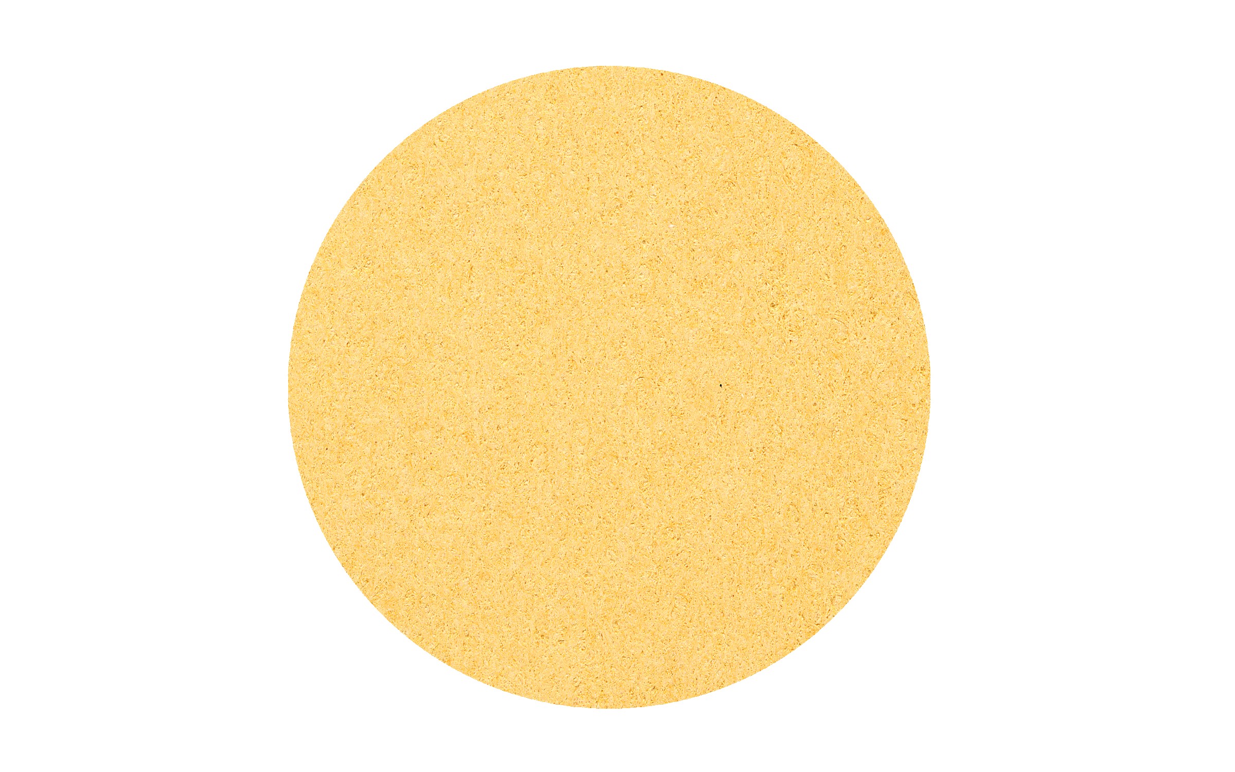 Picture of 5" Standard Compressed Circle Sponge