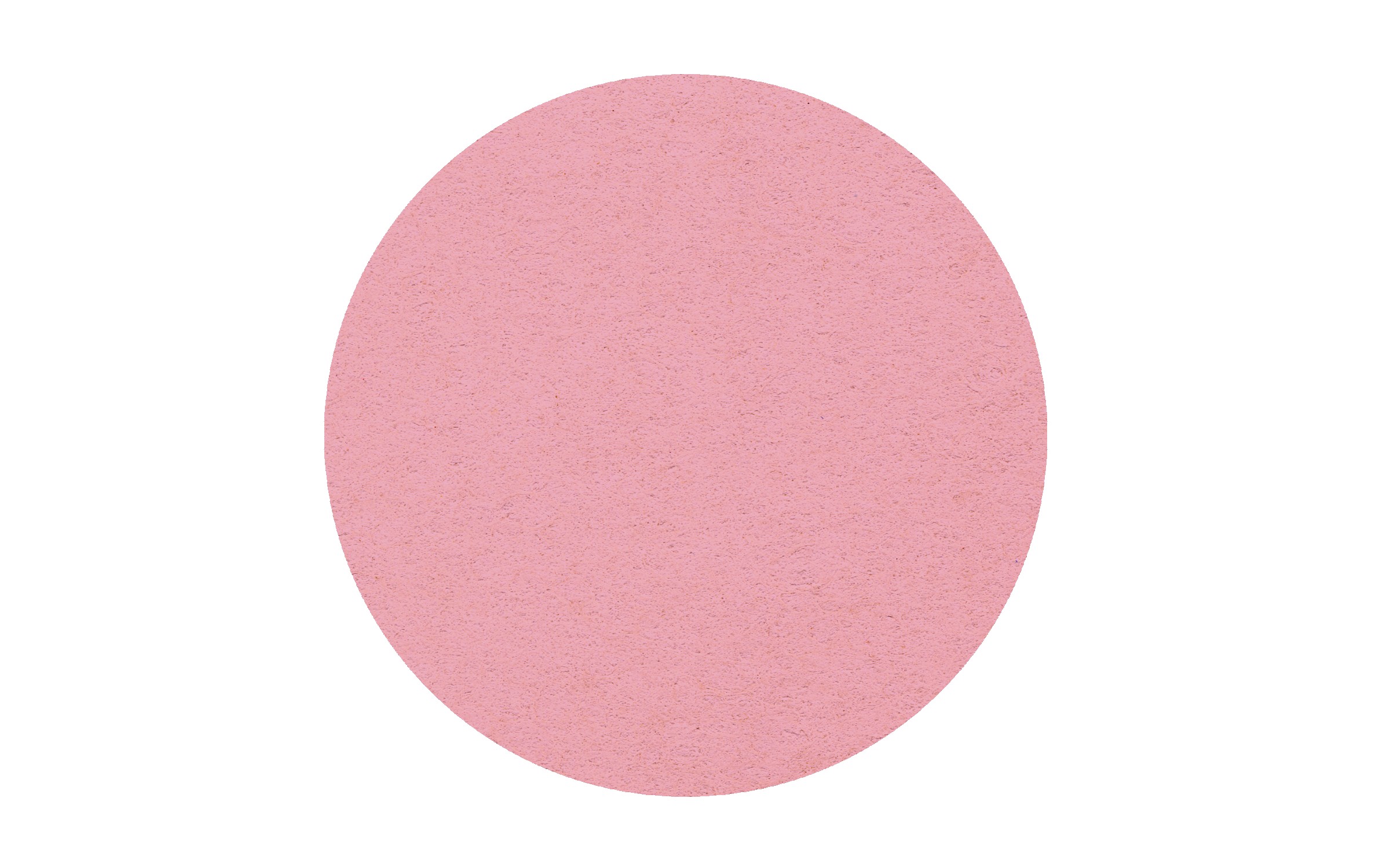 Picture of 5" Standard Compressed Circle Sponge