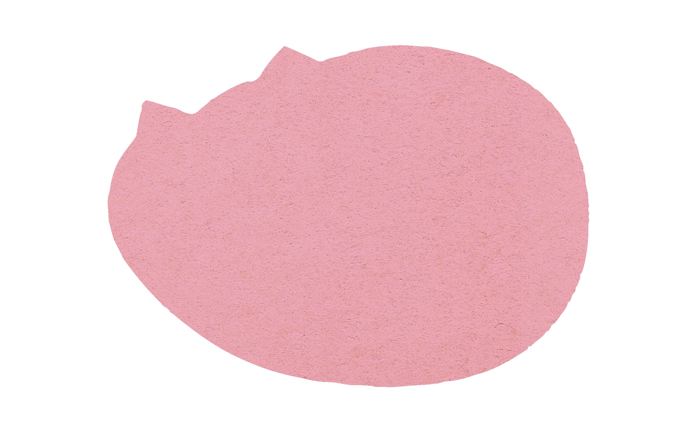 Picture of 5" Standard Compressed Cat Sponge