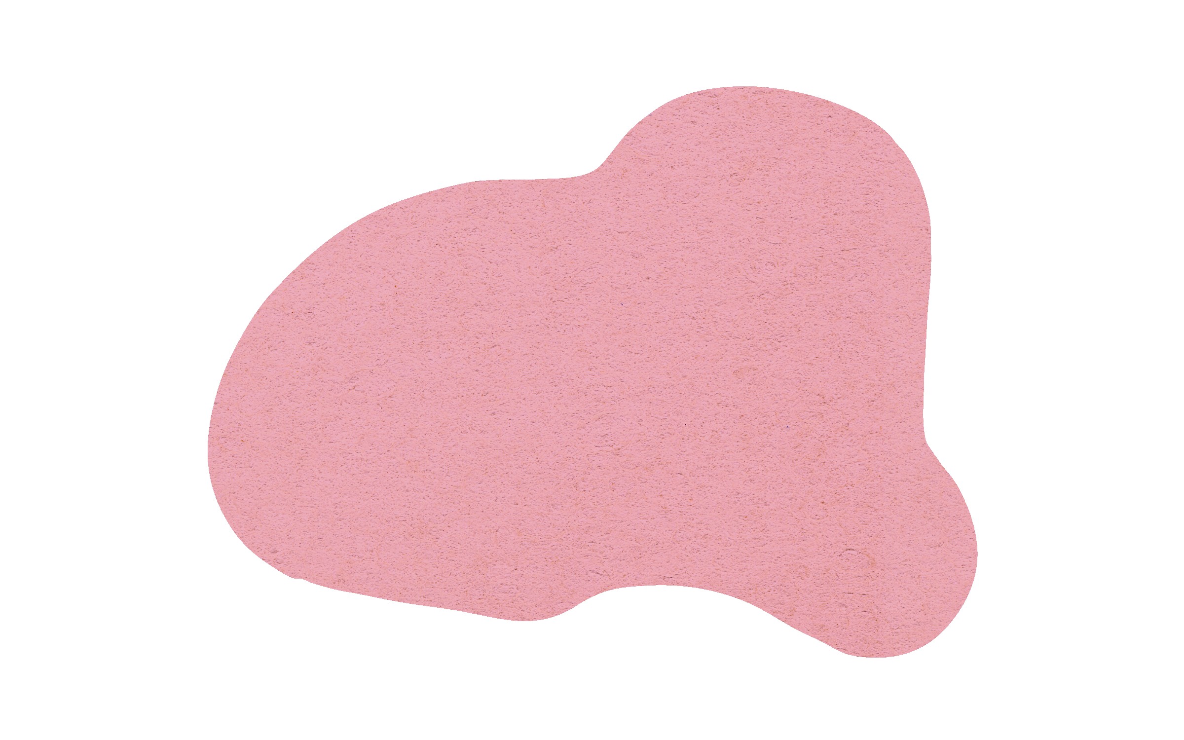 Picture of 5" Standard Compressed Dog Sponge