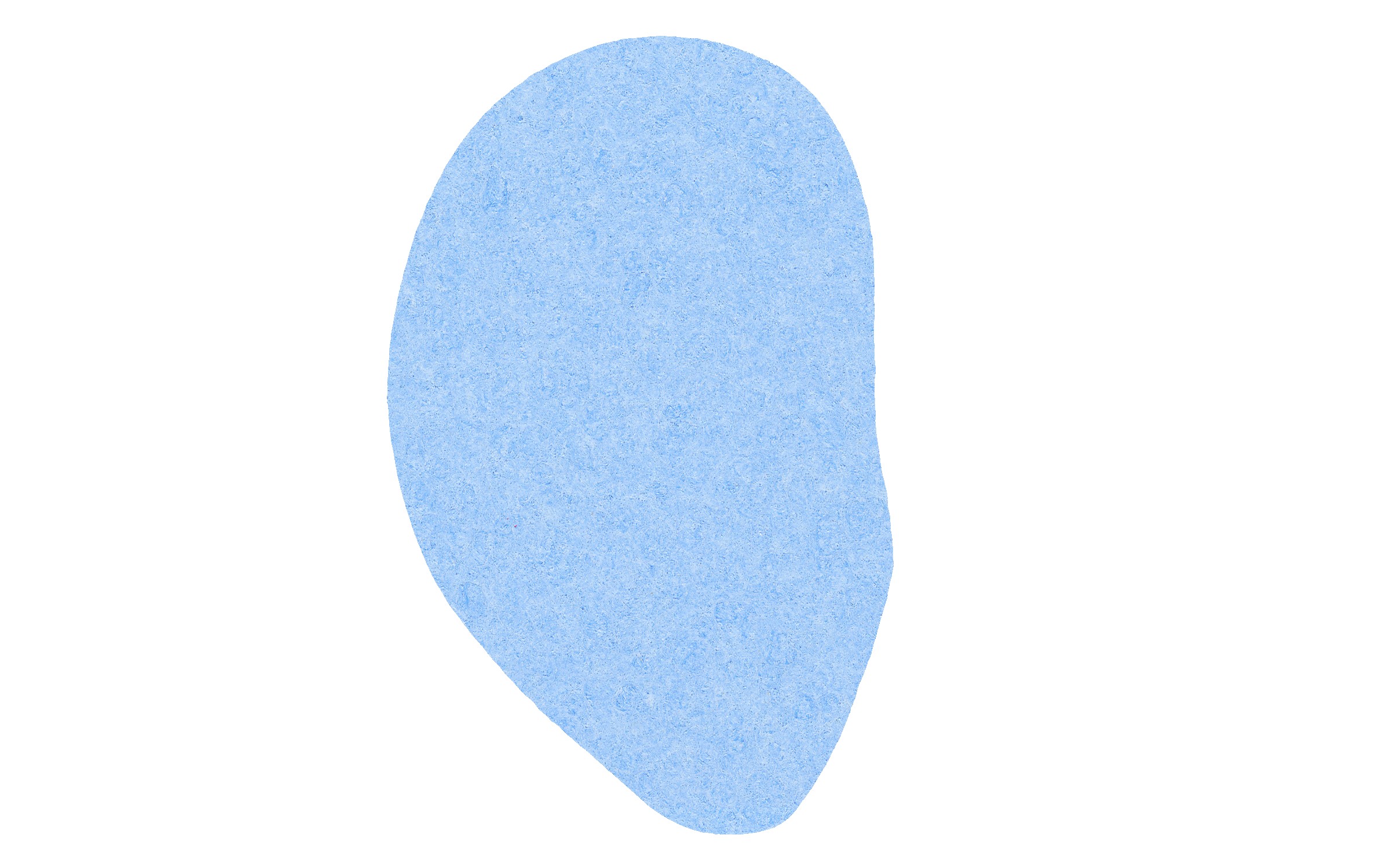 Picture of 5" Standard Compressed Ear Sponge