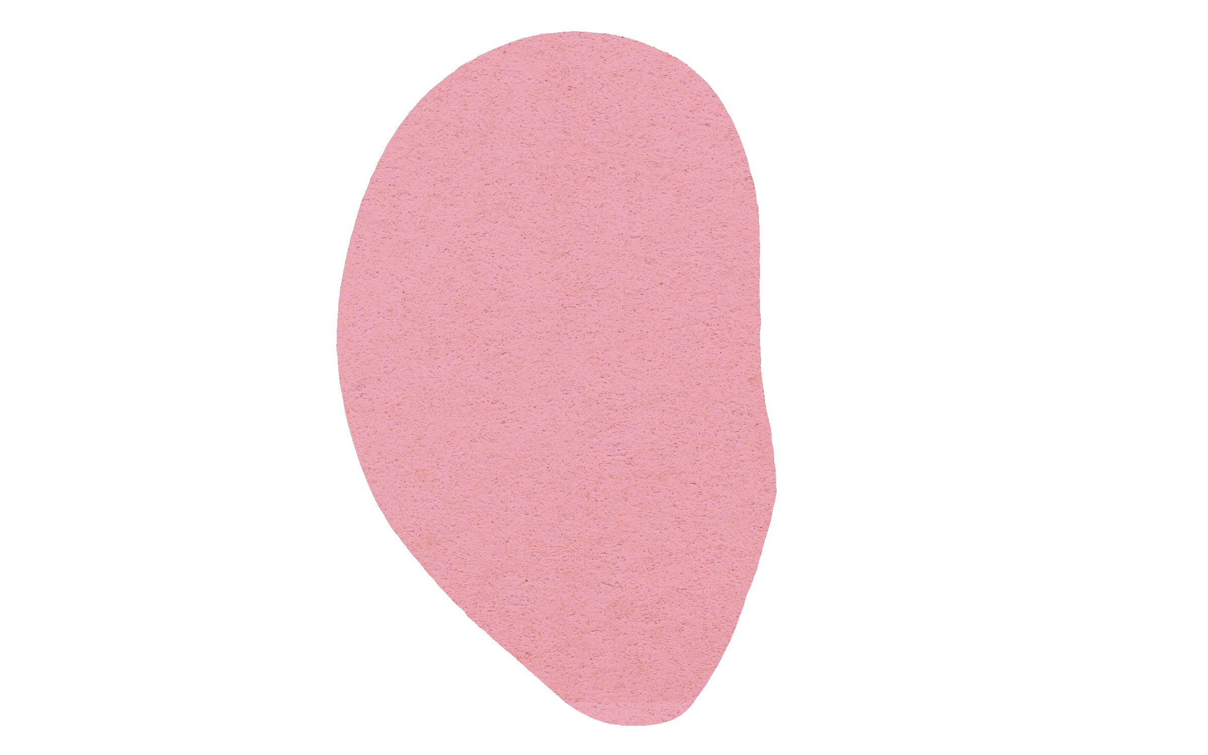 Picture of 5" Standard Compressed Ear Sponge