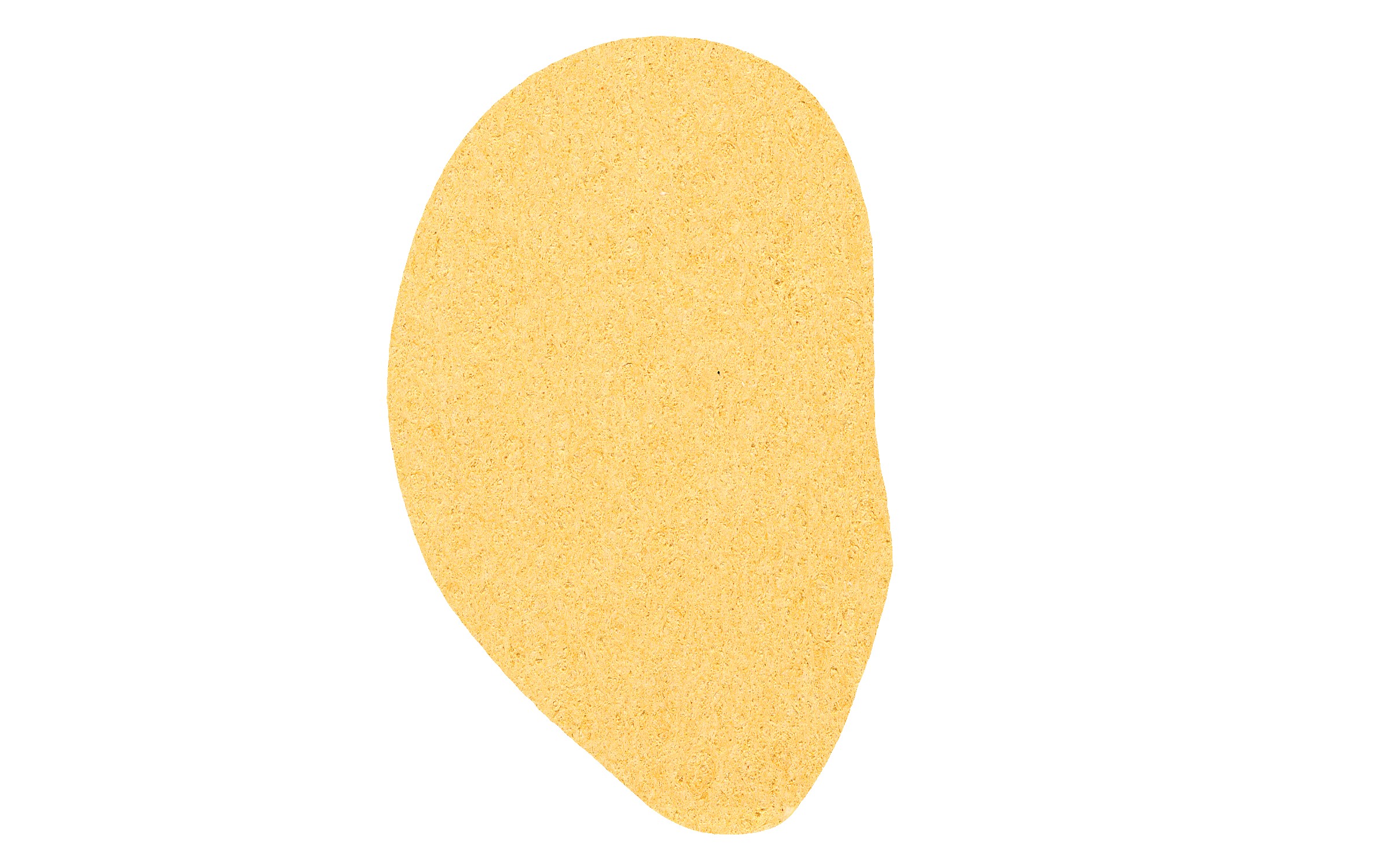 Picture of 5" Standard Compressed Ear Sponge