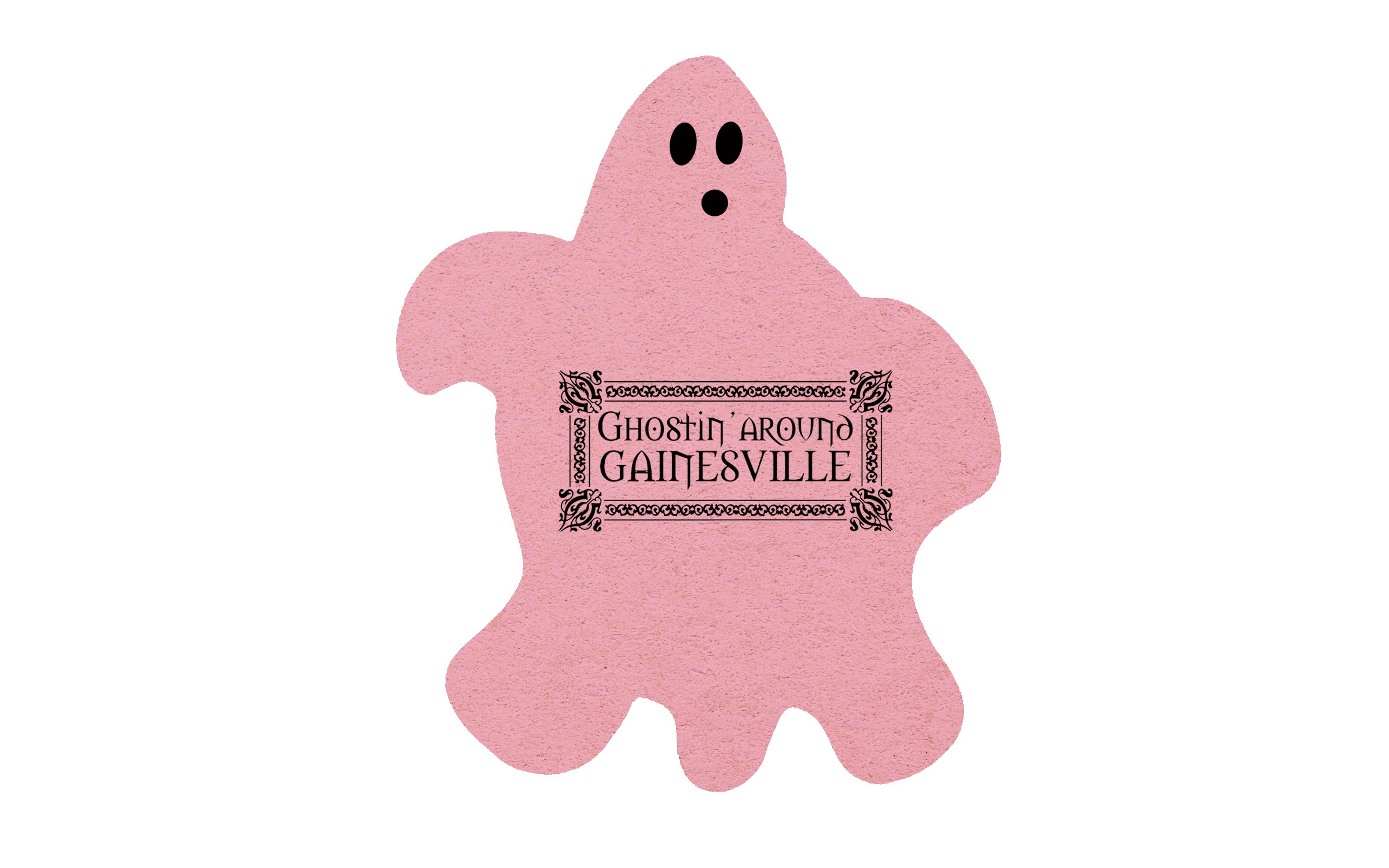 Picture of 5" Standard Compressed Ghost Sponge