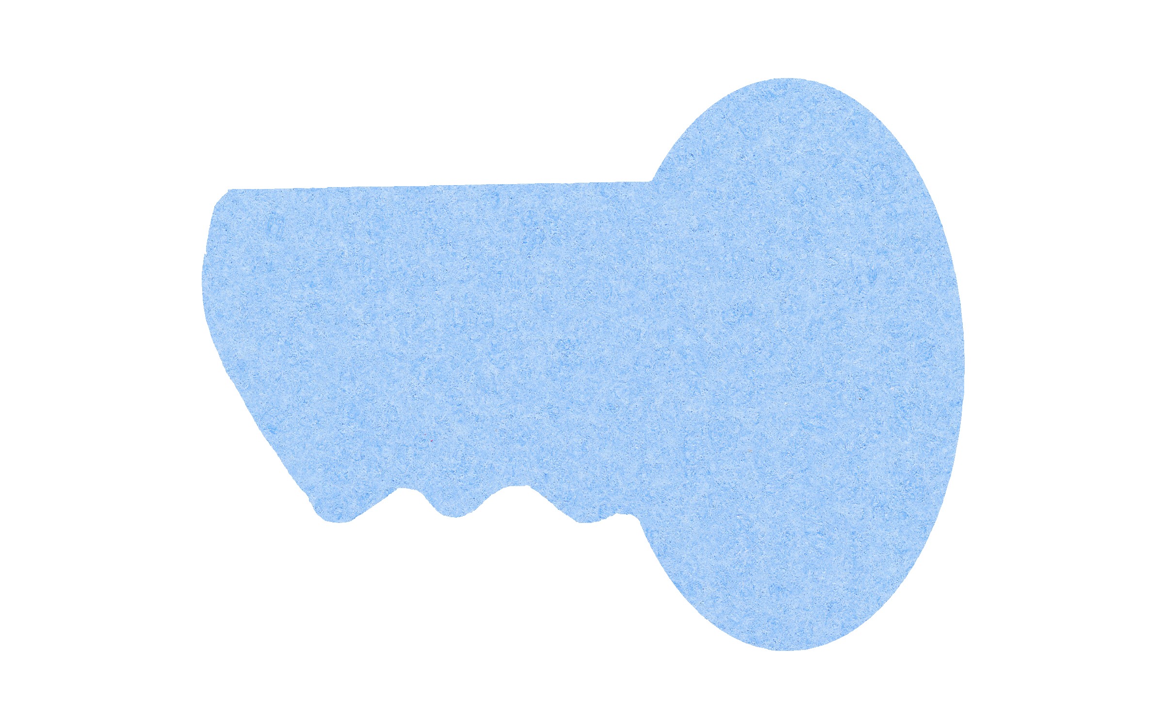 Picture of 5" Standard Compressed Key Sponge