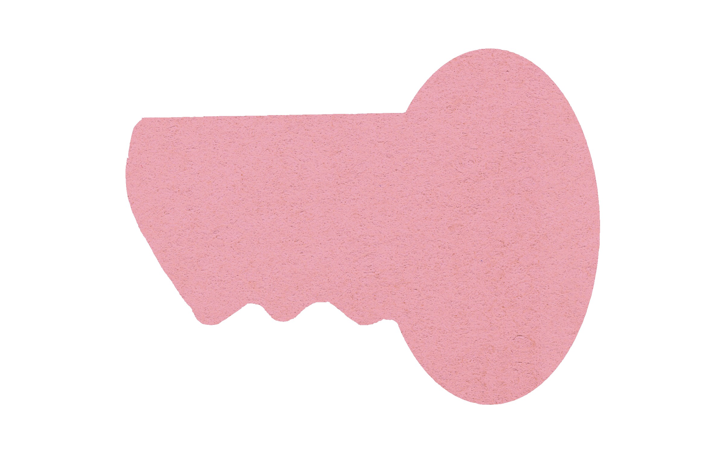 Picture of 5" Standard Compressed Key Sponge