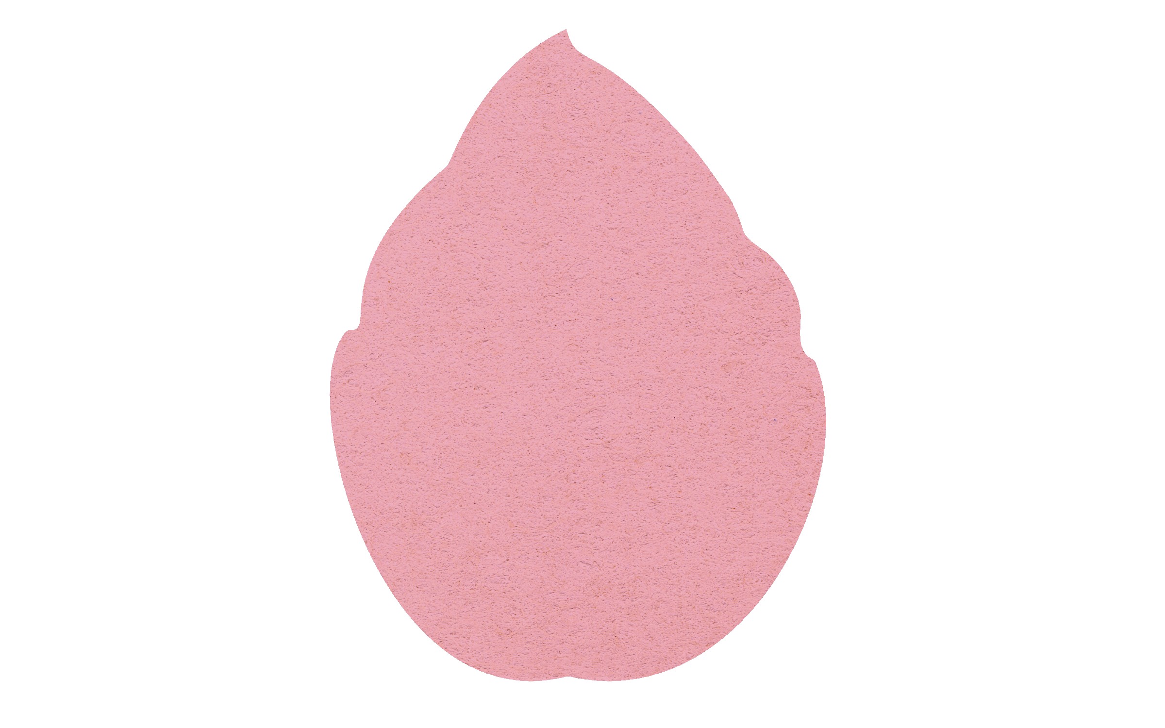 Picture of 5" Standard Compressed Leaf Sponge