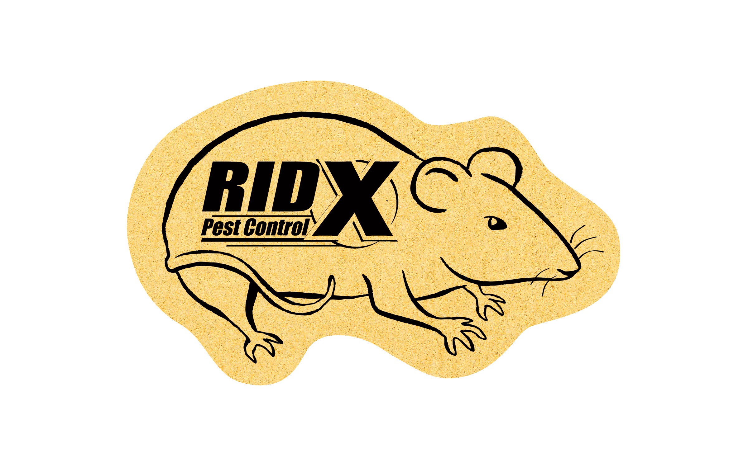 Picture of 5" Standard Compressed Rat/Mouse Sponge