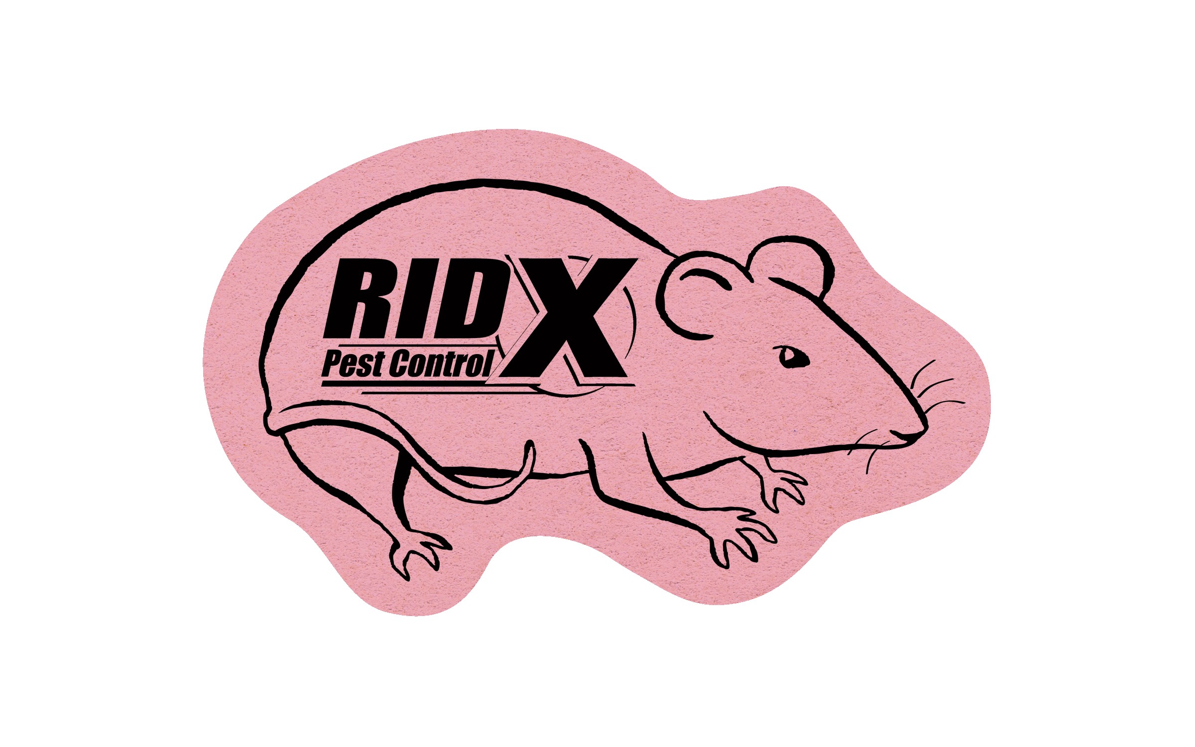 Picture of 5" Standard Compressed Rat/Mouse Sponge