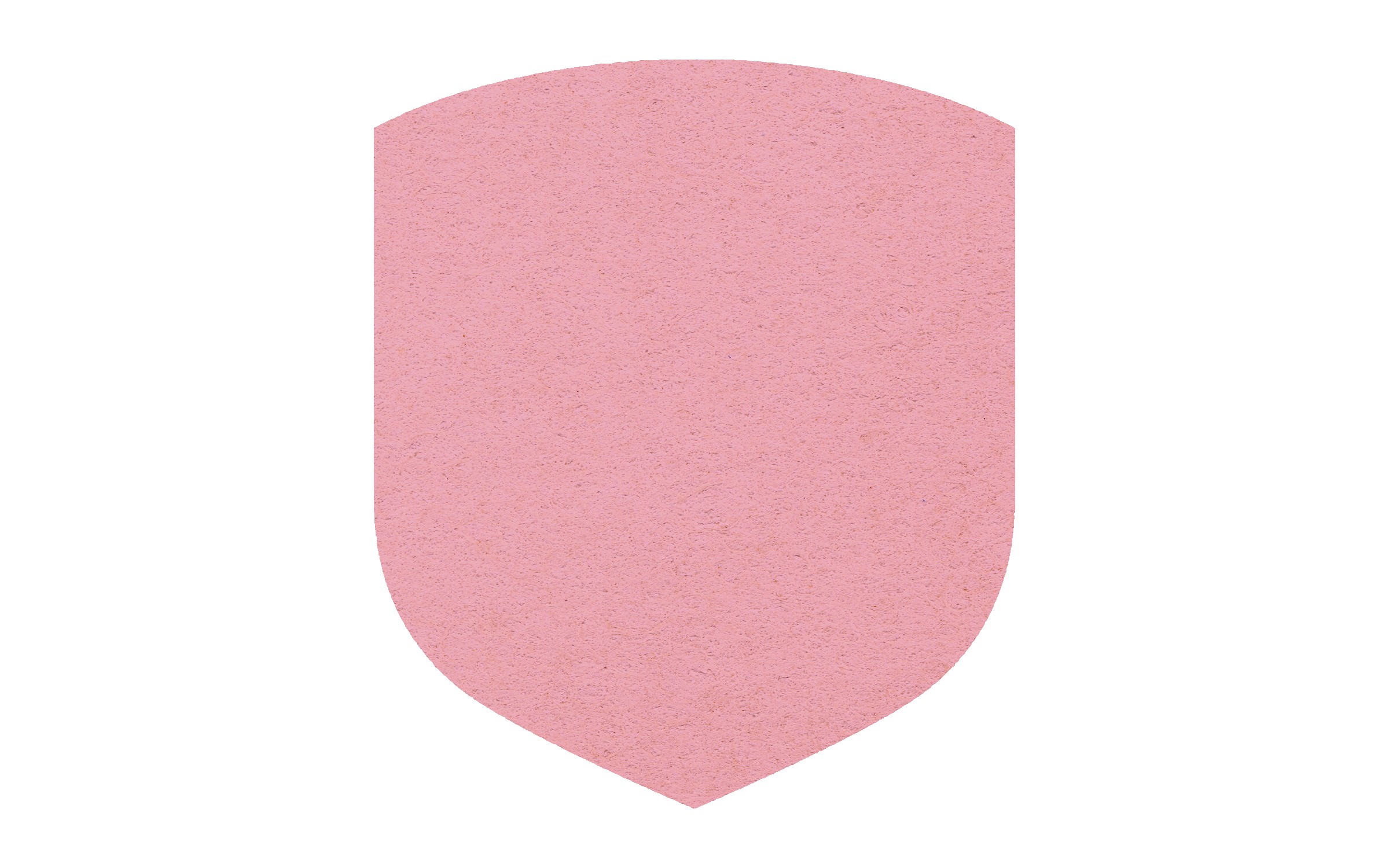 Picture of 5" Standard Compressed Shield Sponge