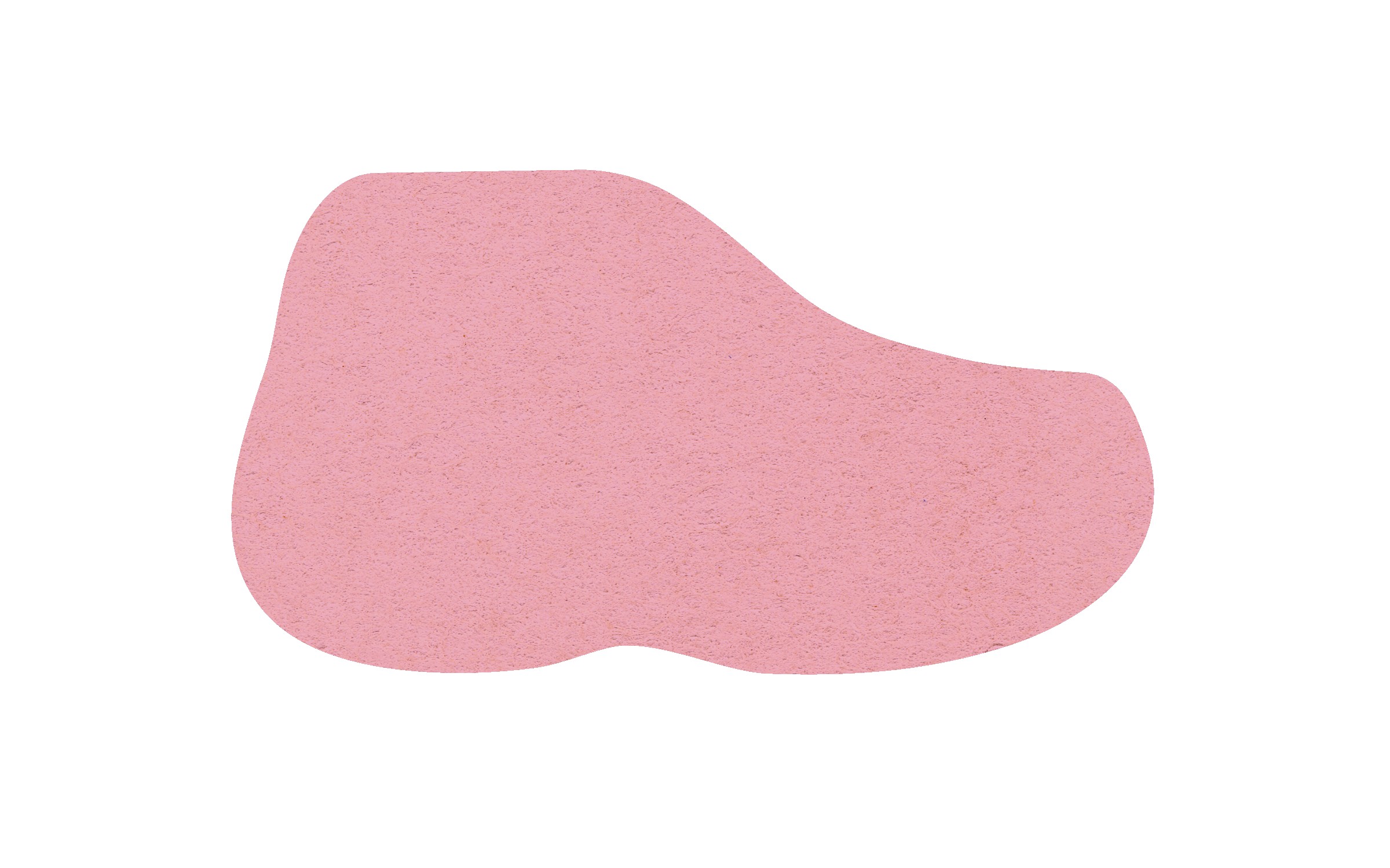 Picture of 5" Standard Compressed Sneaker Sponge