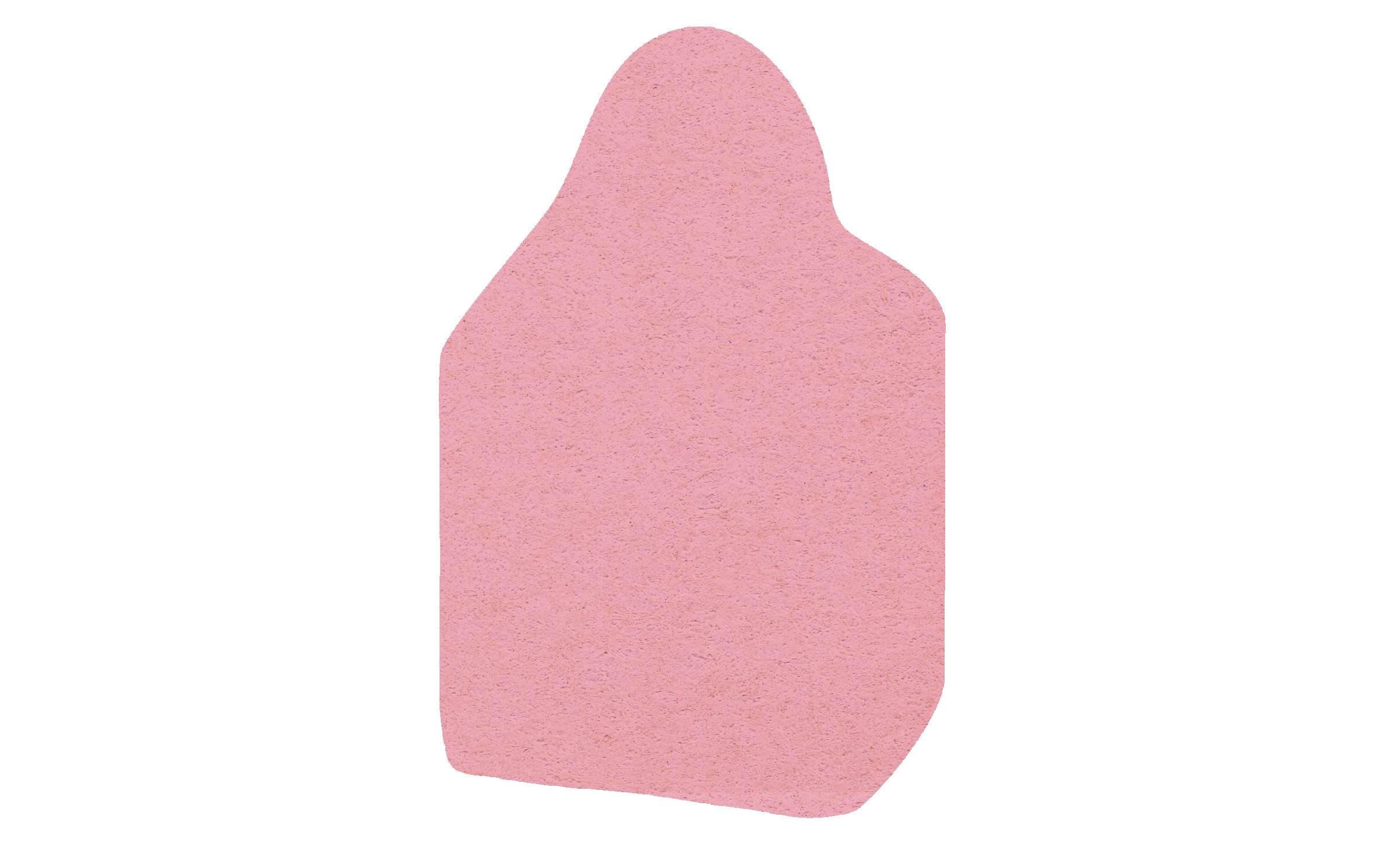 Picture of 5" Standard Compressed Tote Bag Compressed Sponge