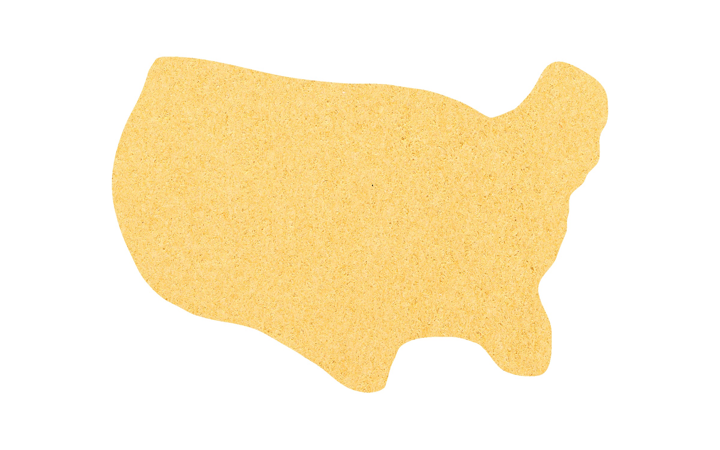 Picture of 5" Standard Compressed United States Sponge