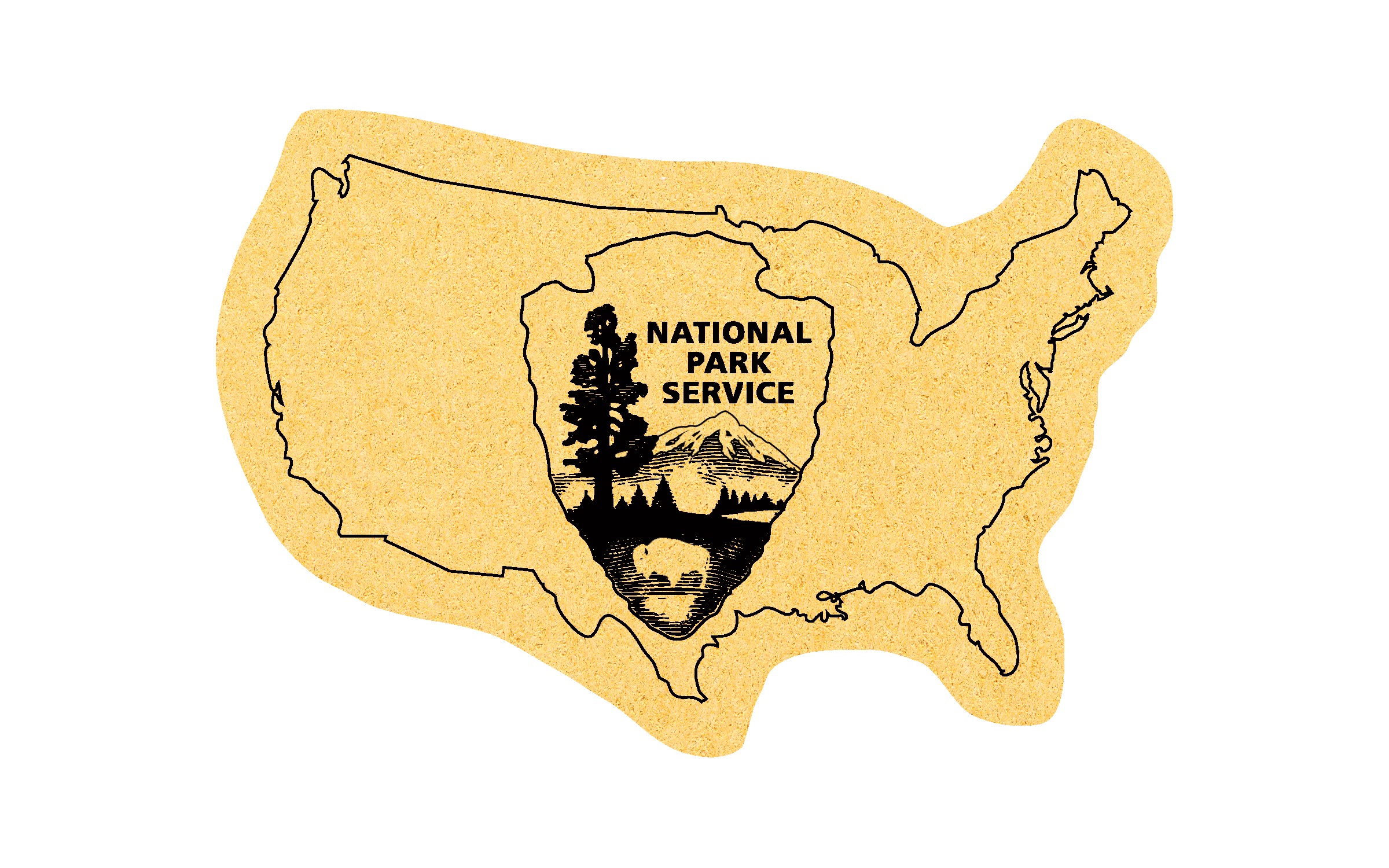 Picture of 5" Standard Compressed United States Sponge