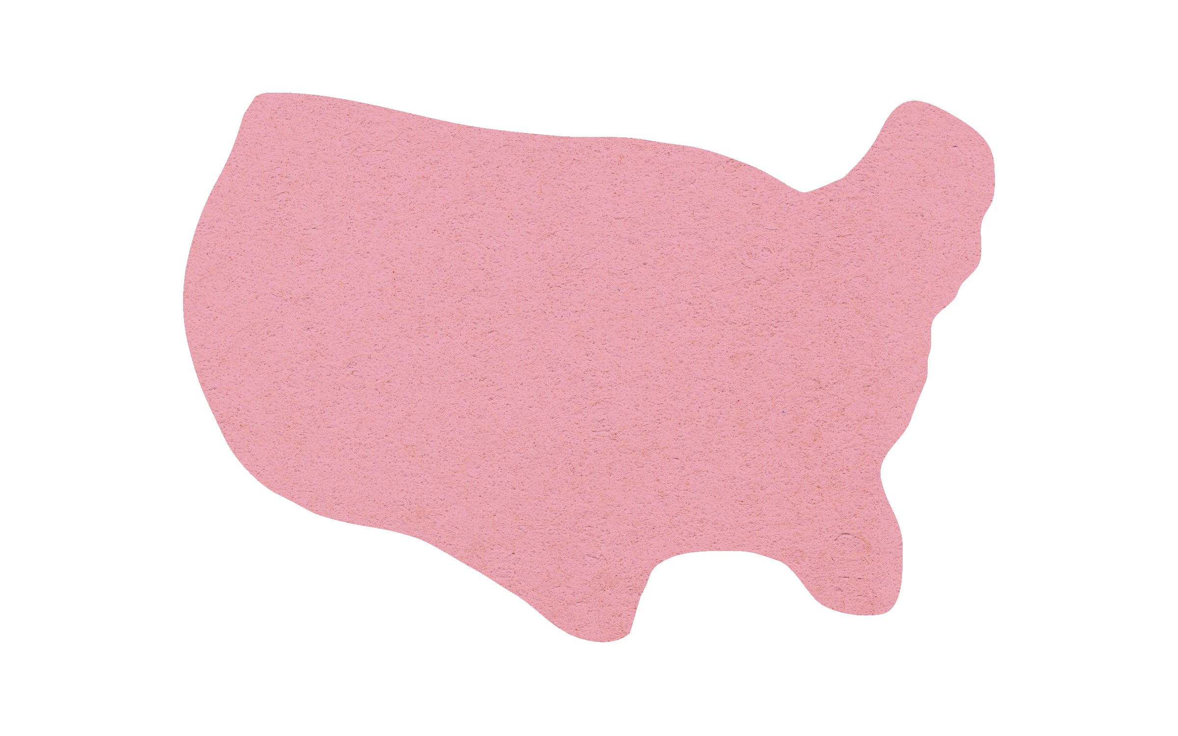 Picture of 5" Standard Compressed United States Sponge