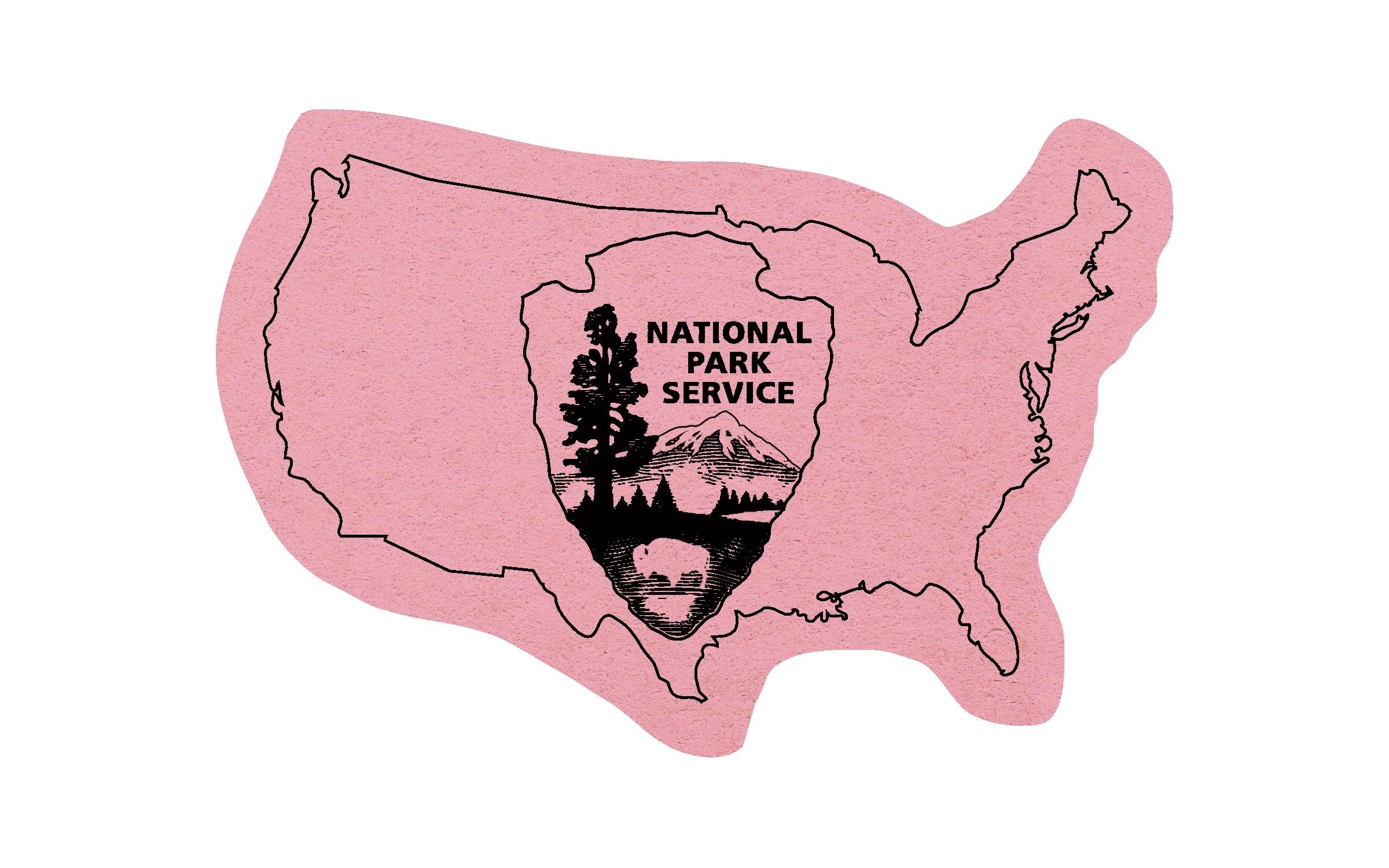 Picture of 5" Standard Compressed United States Sponge