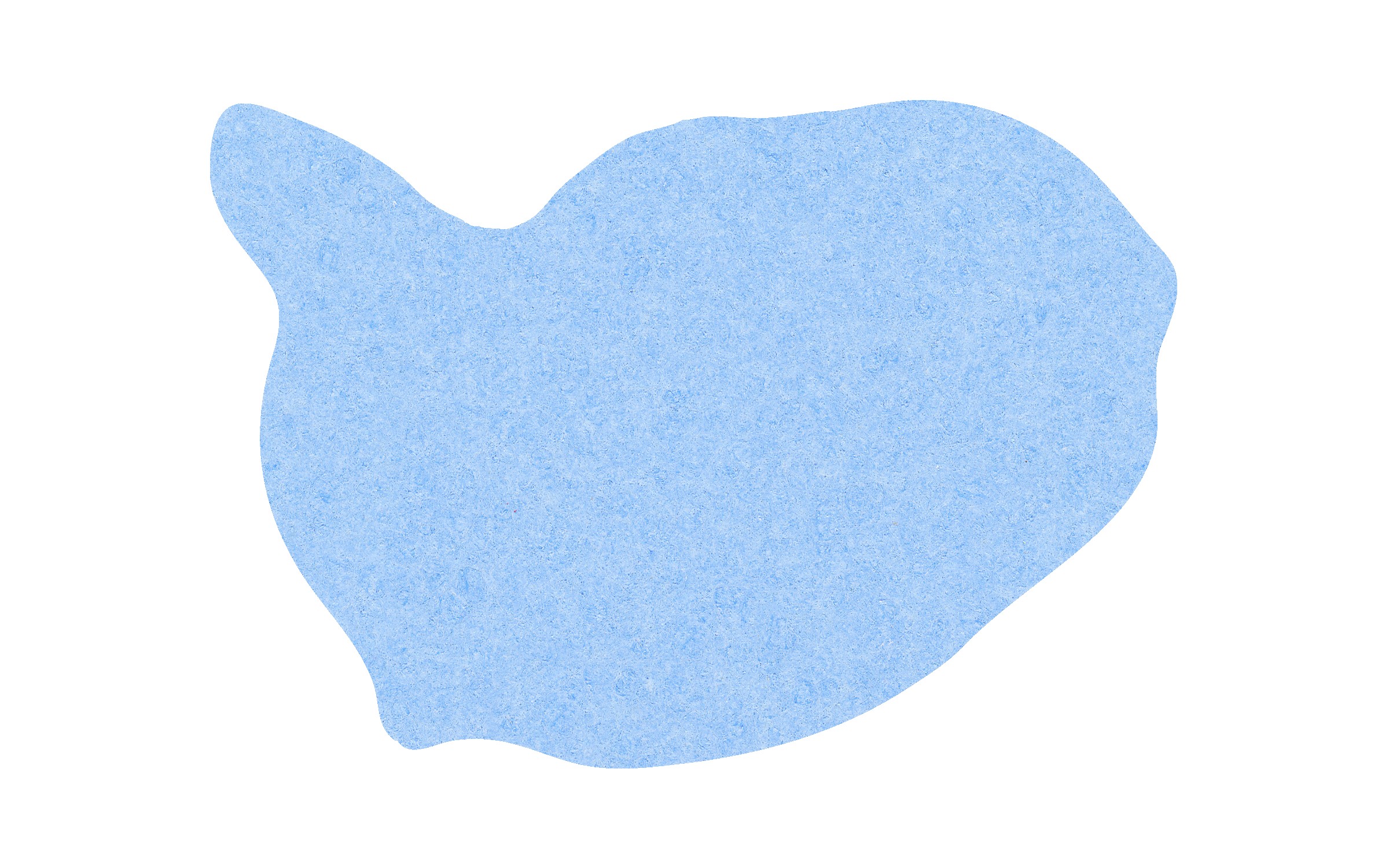 Picture of 5" Standard Compressed Whale Sponge