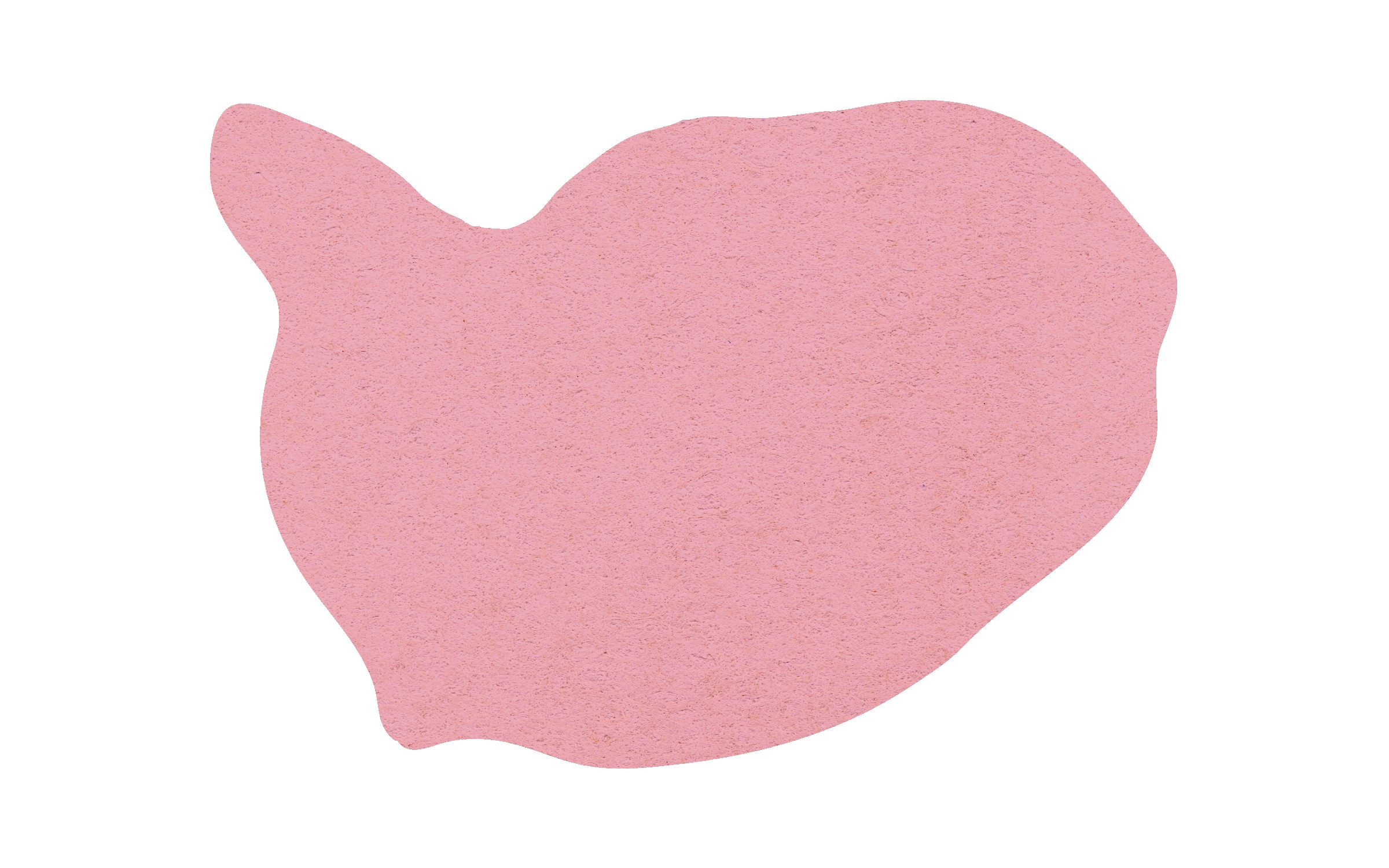 Picture of 5" Standard Compressed Whale Sponge