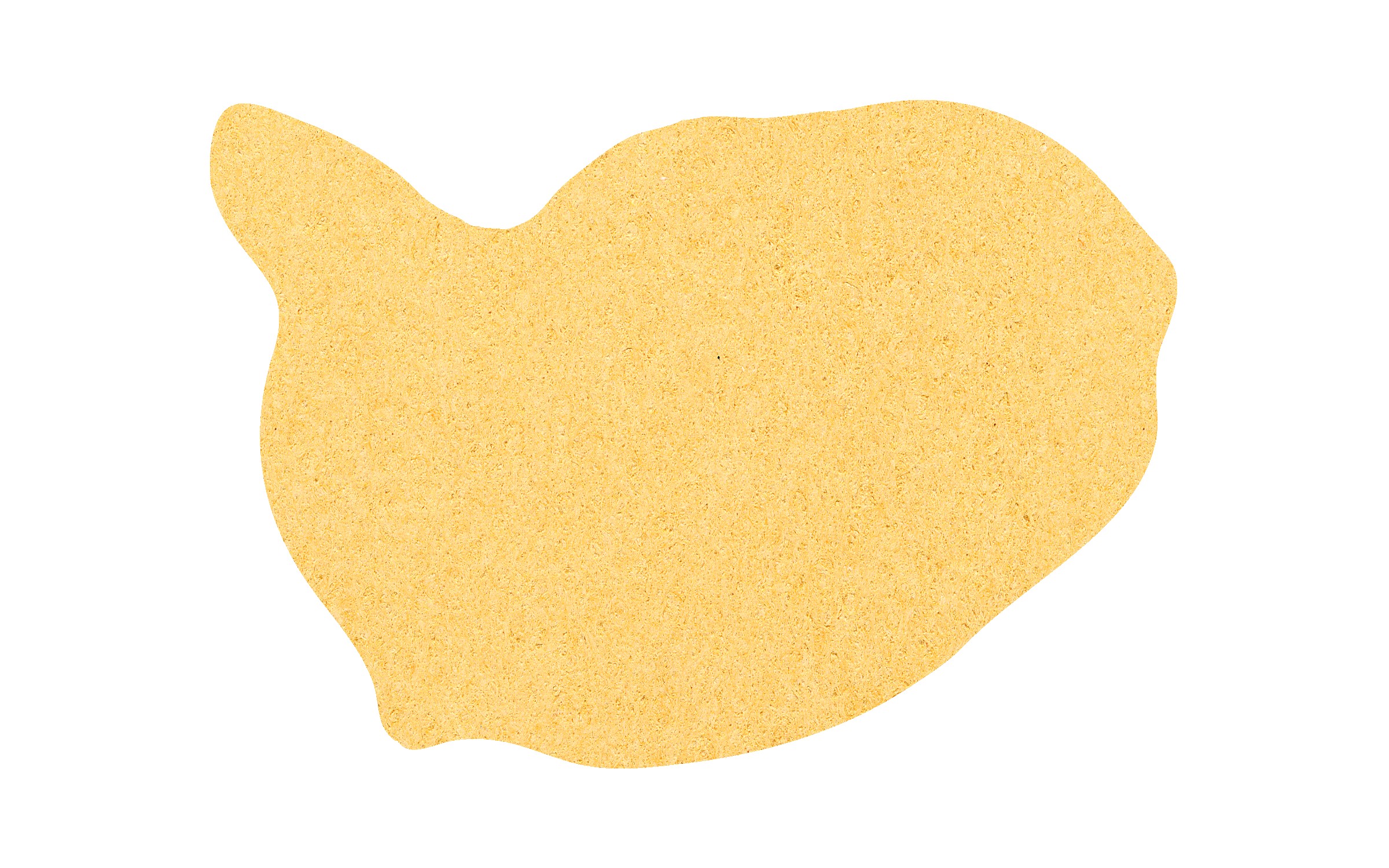 Picture of 5" Standard Compressed Whale Sponge