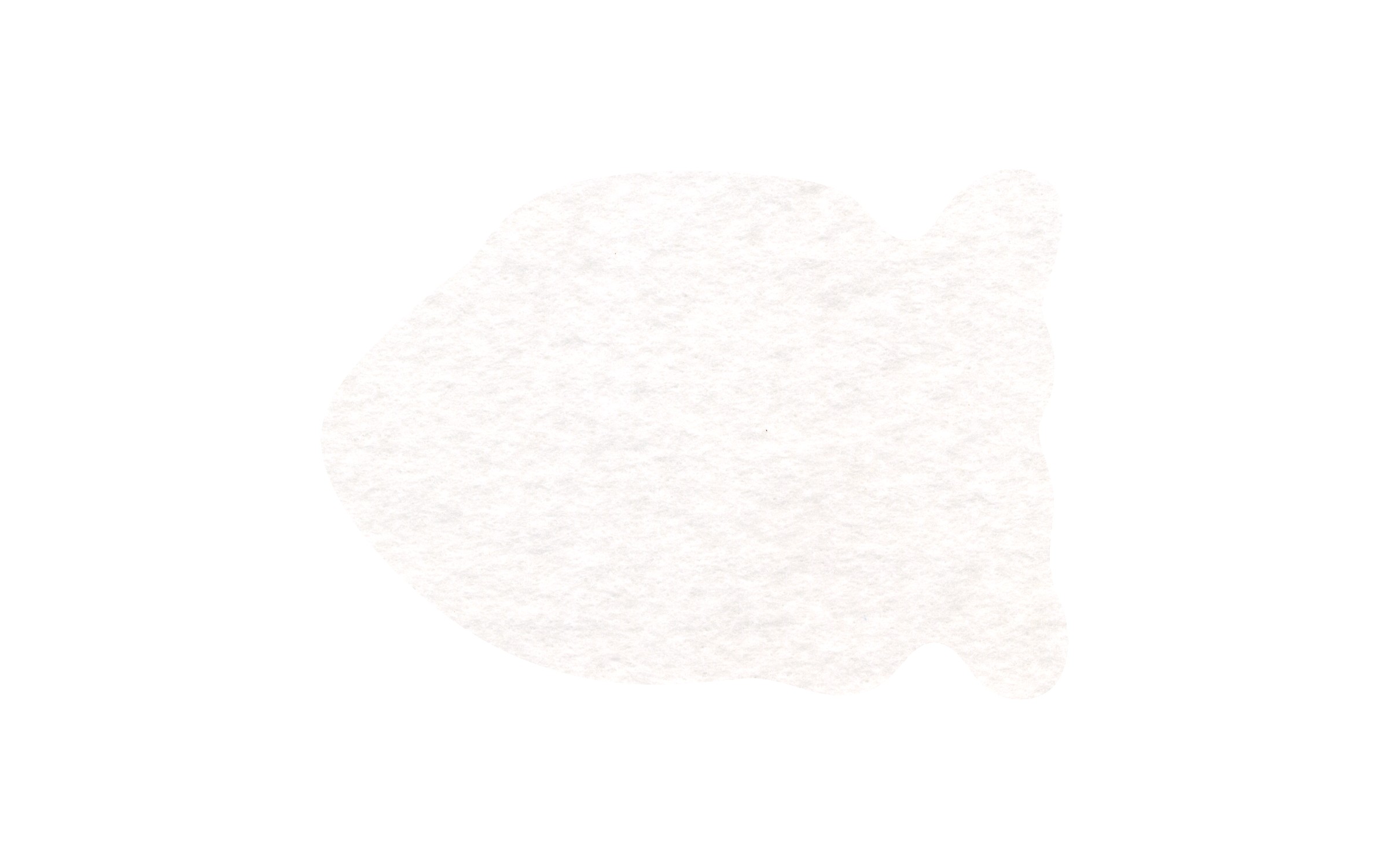 Picture of 4" Econo Shammy Fish Coaster