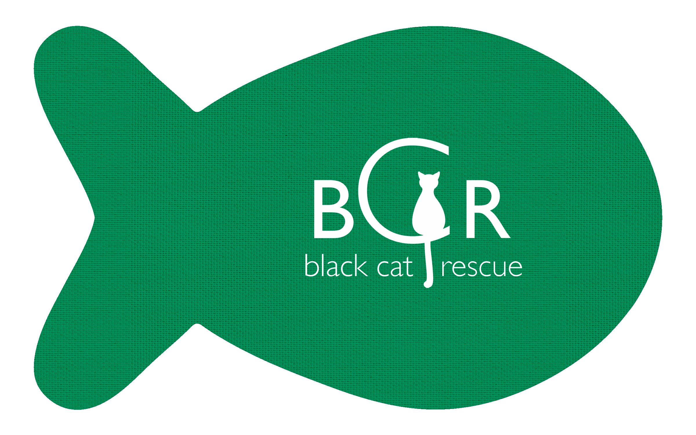 Picture of Fish Vinyl Mat
