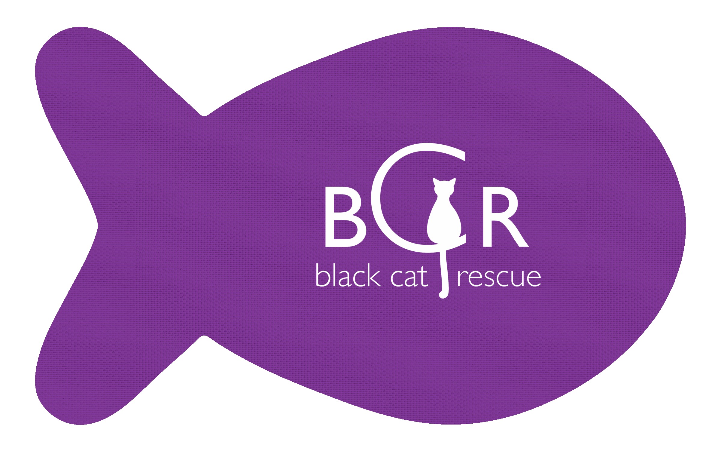 Picture of Fish Vinyl Mat