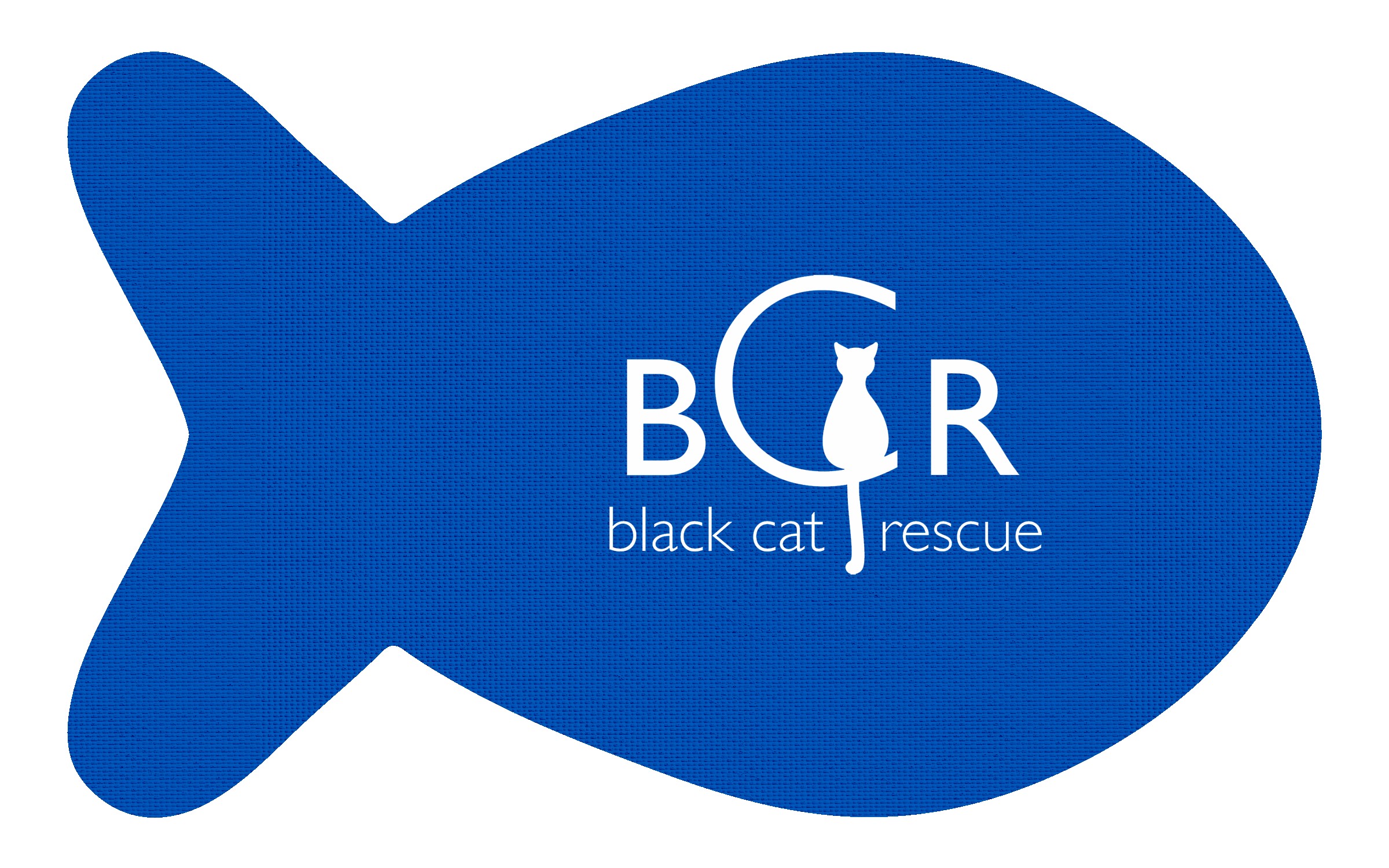 Picture of Fish Vinyl Mat