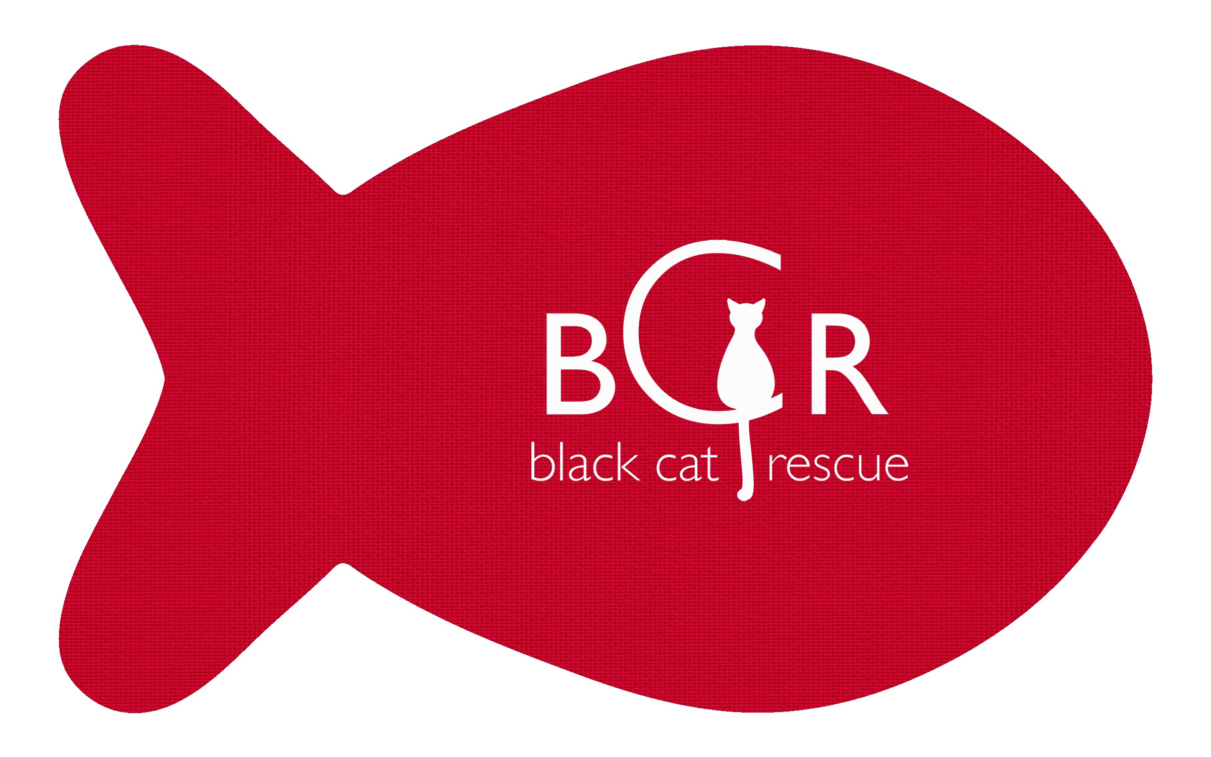 Picture of Fish Vinyl Mat