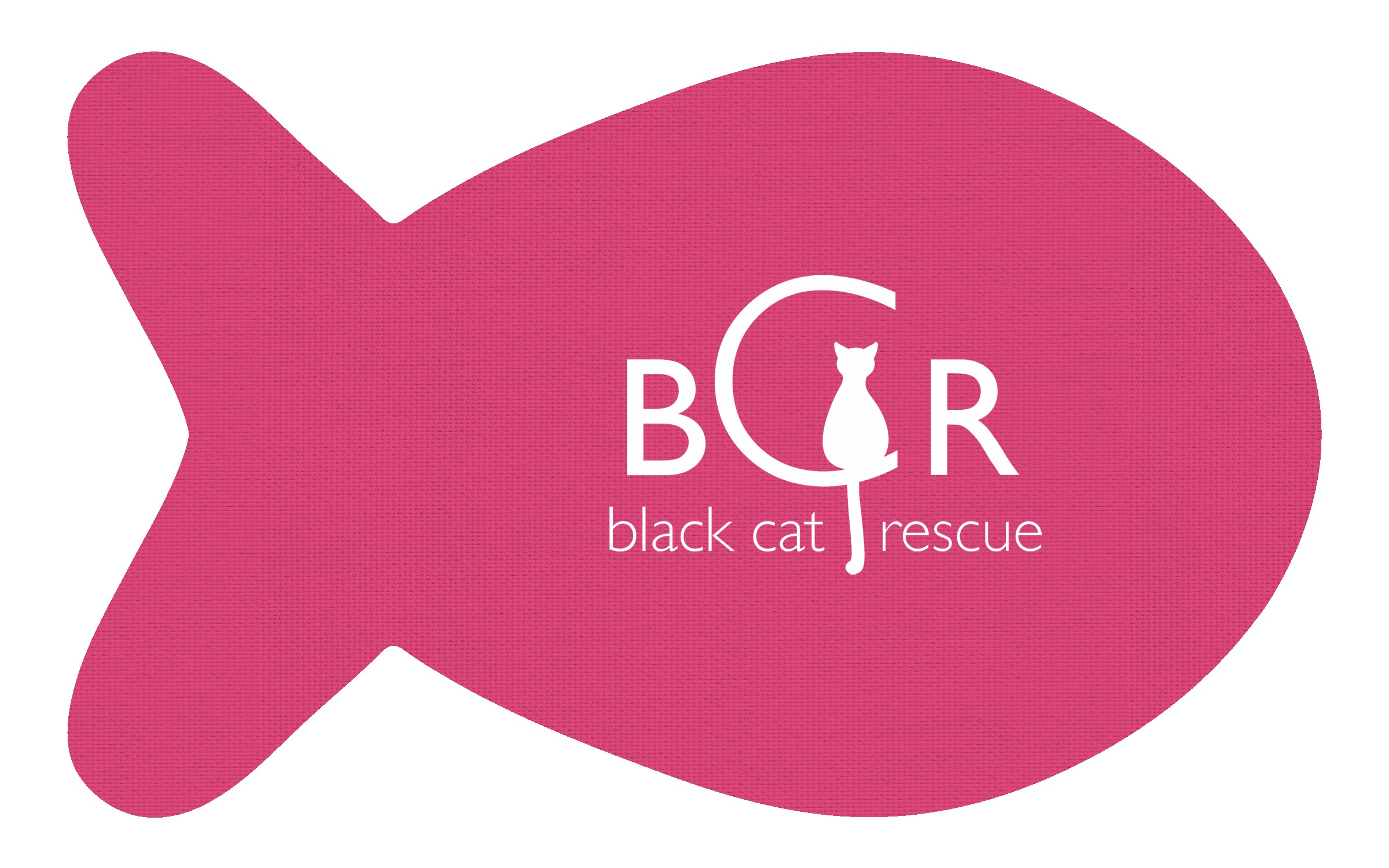 Picture of Fish Vinyl Mat