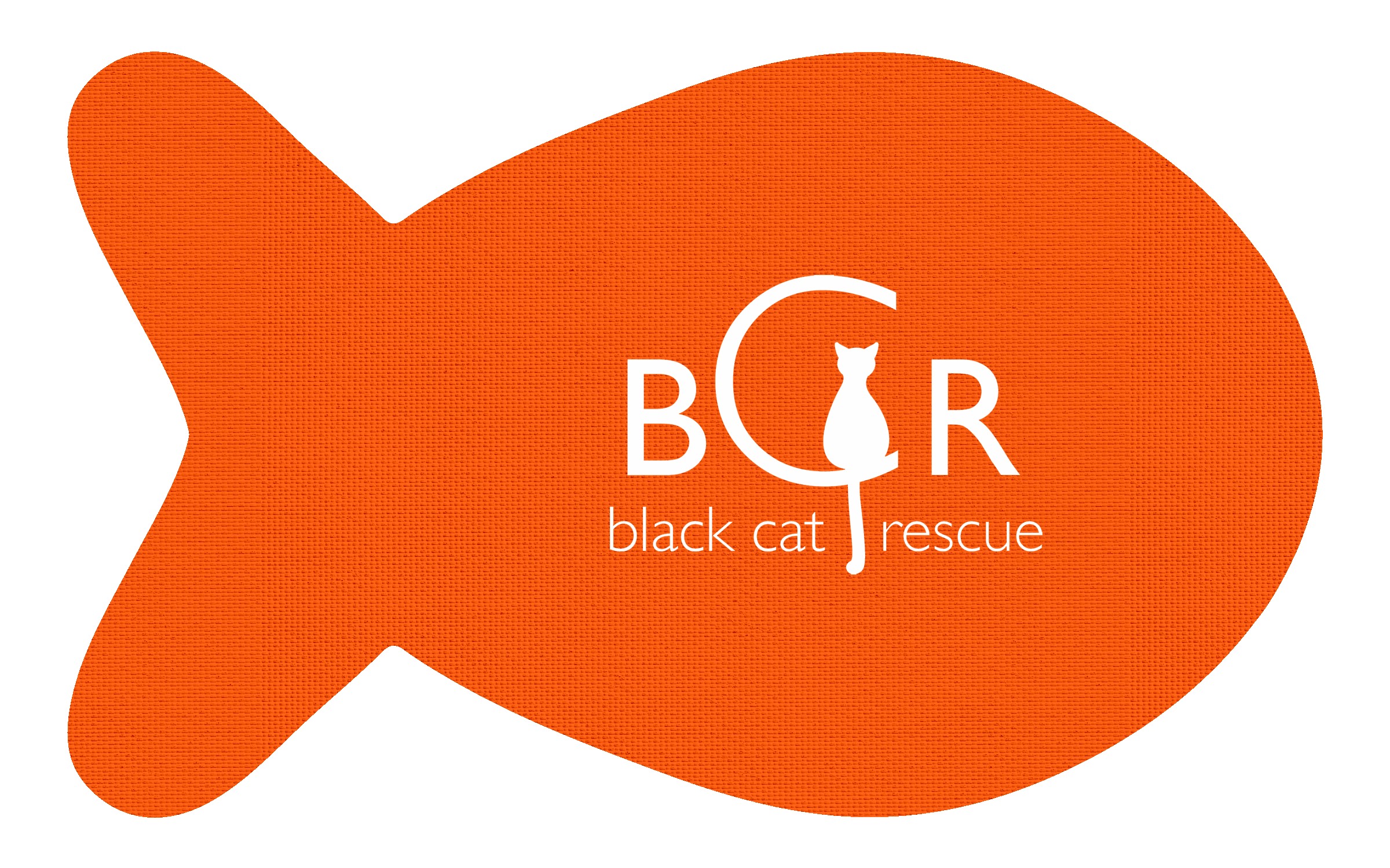 Picture of Fish Vinyl Mat