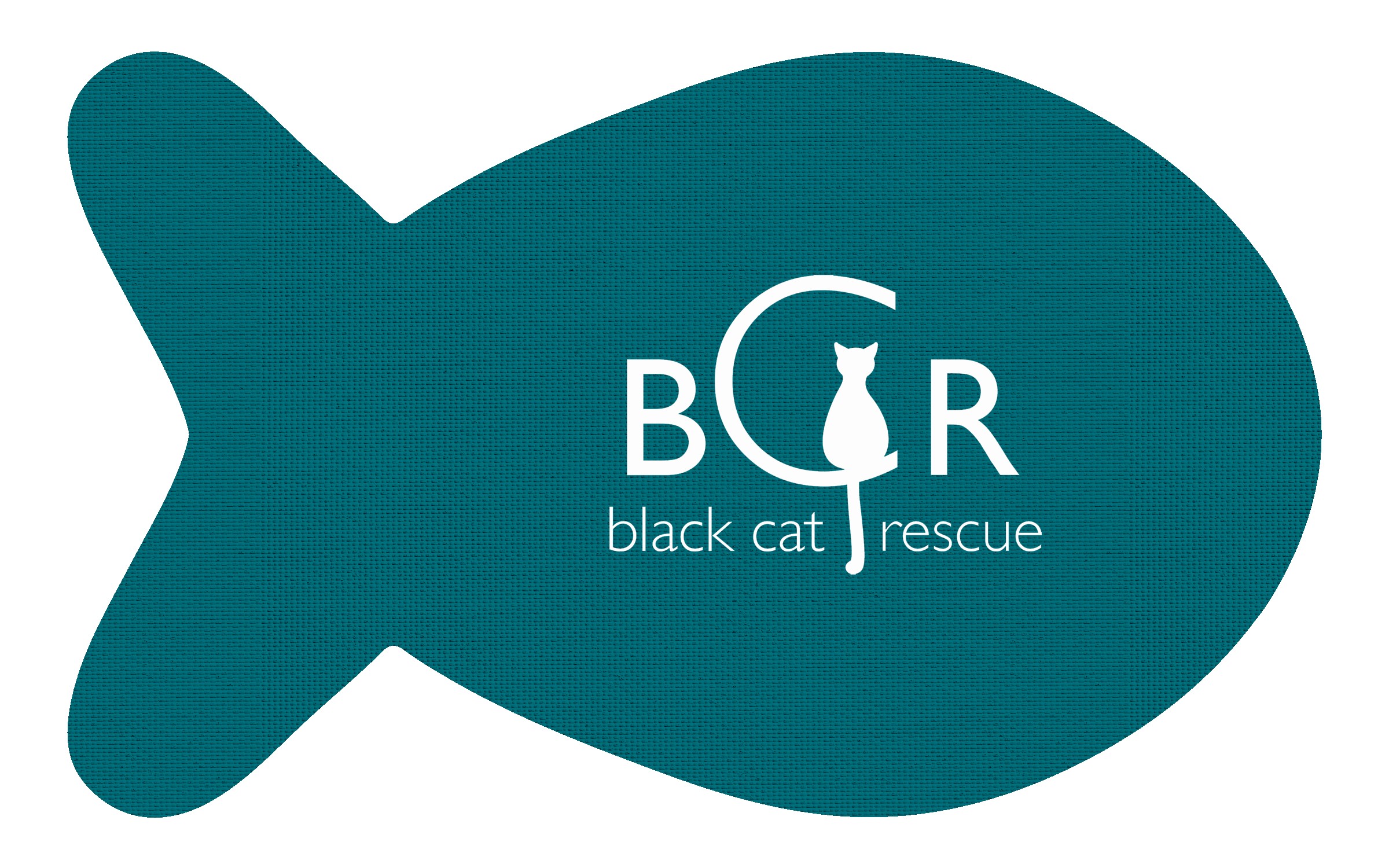 Picture of Fish Vinyl Mat
