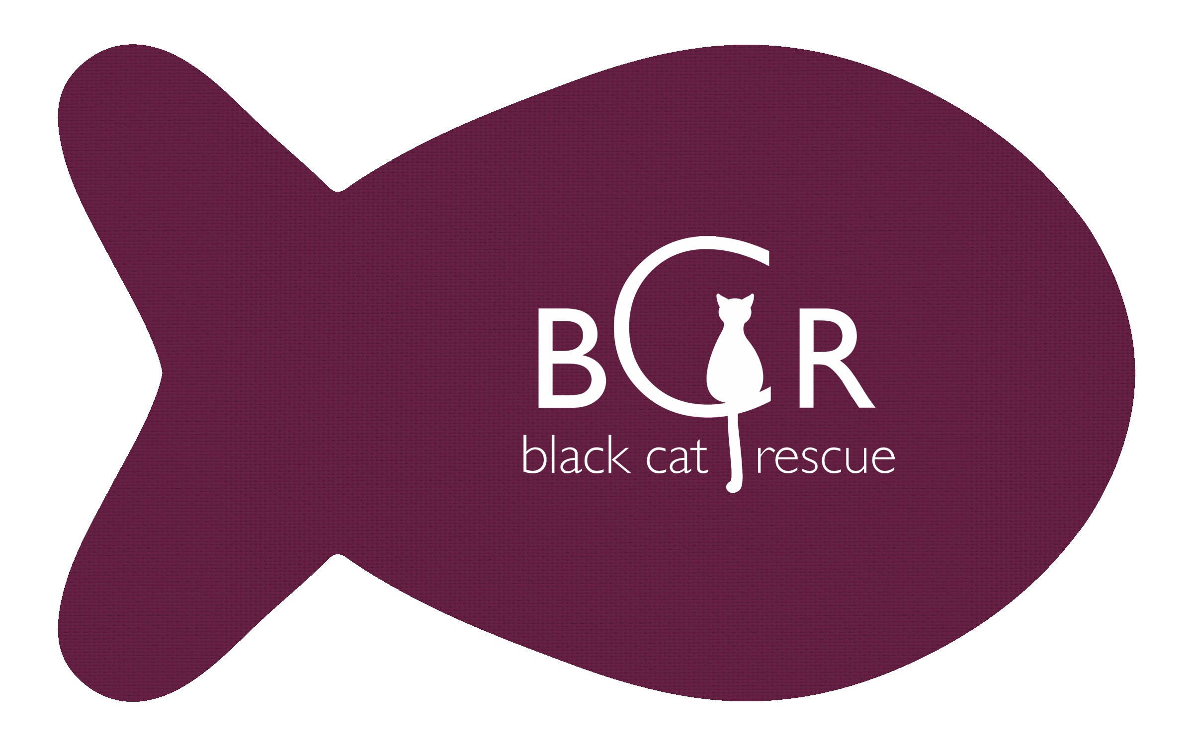 Picture of Fish Vinyl Mat