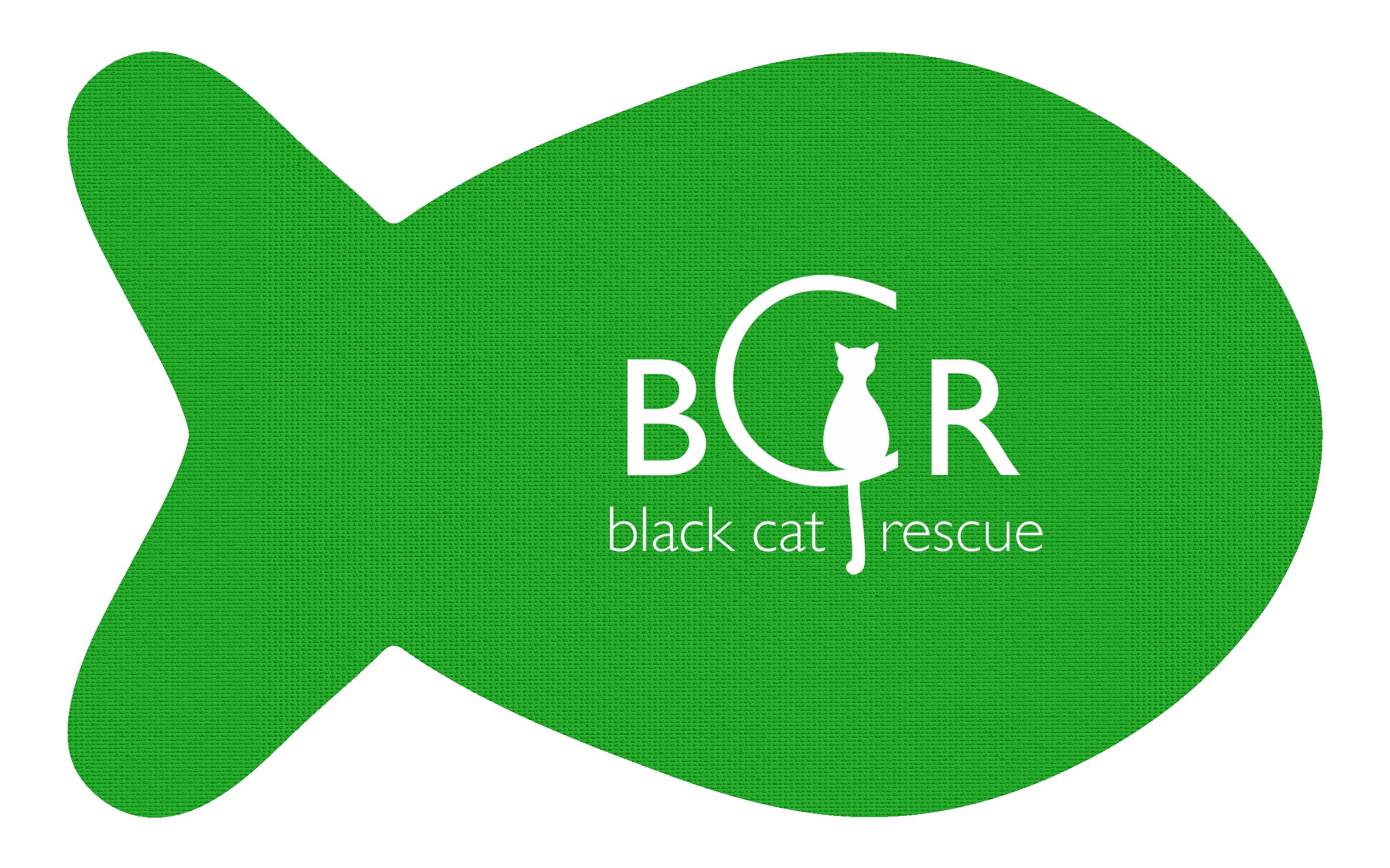 Picture of Fish Vinyl Mat