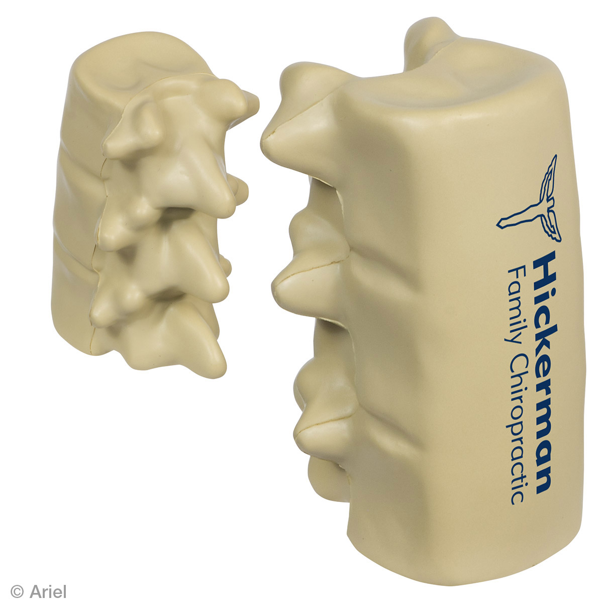 Picture of Spinal Segment Stress Reliever