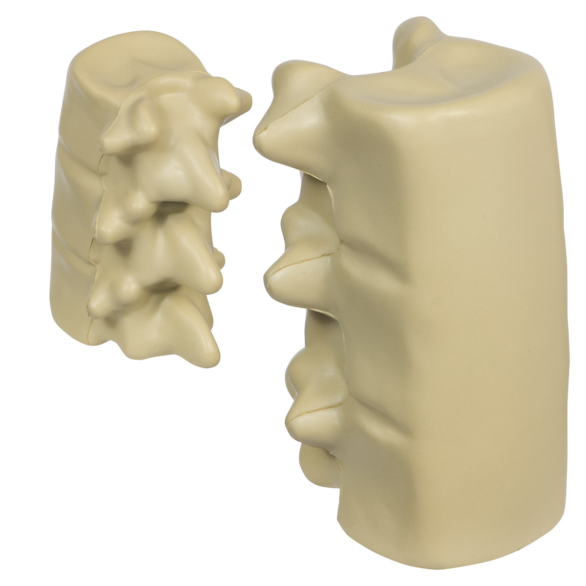 Picture of Spinal Segment Stress Reliever