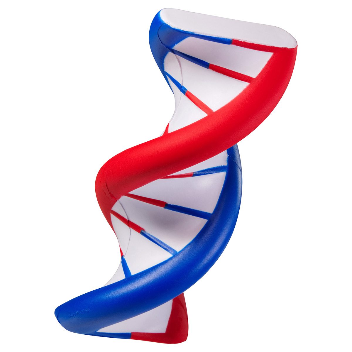 Picture of DNA Shaped Stress Reliever