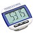 Picture of Widescreen Walker Pedometer