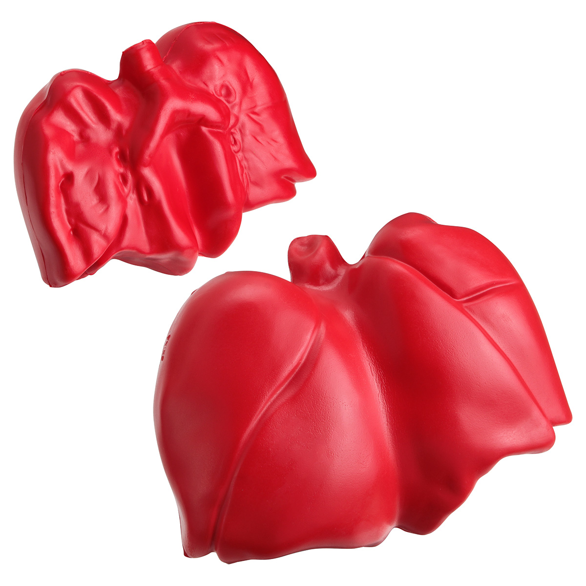 Picture of Lungs Stress Reliever