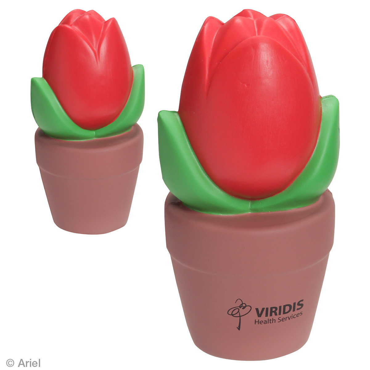 Picture of Tulip In Pot Stress Reliever