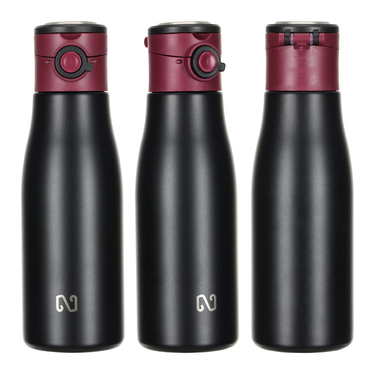 Picture of NAYAD® Hamlin 18 oz Stainless Double-wall Vacuum Insulated Bottle