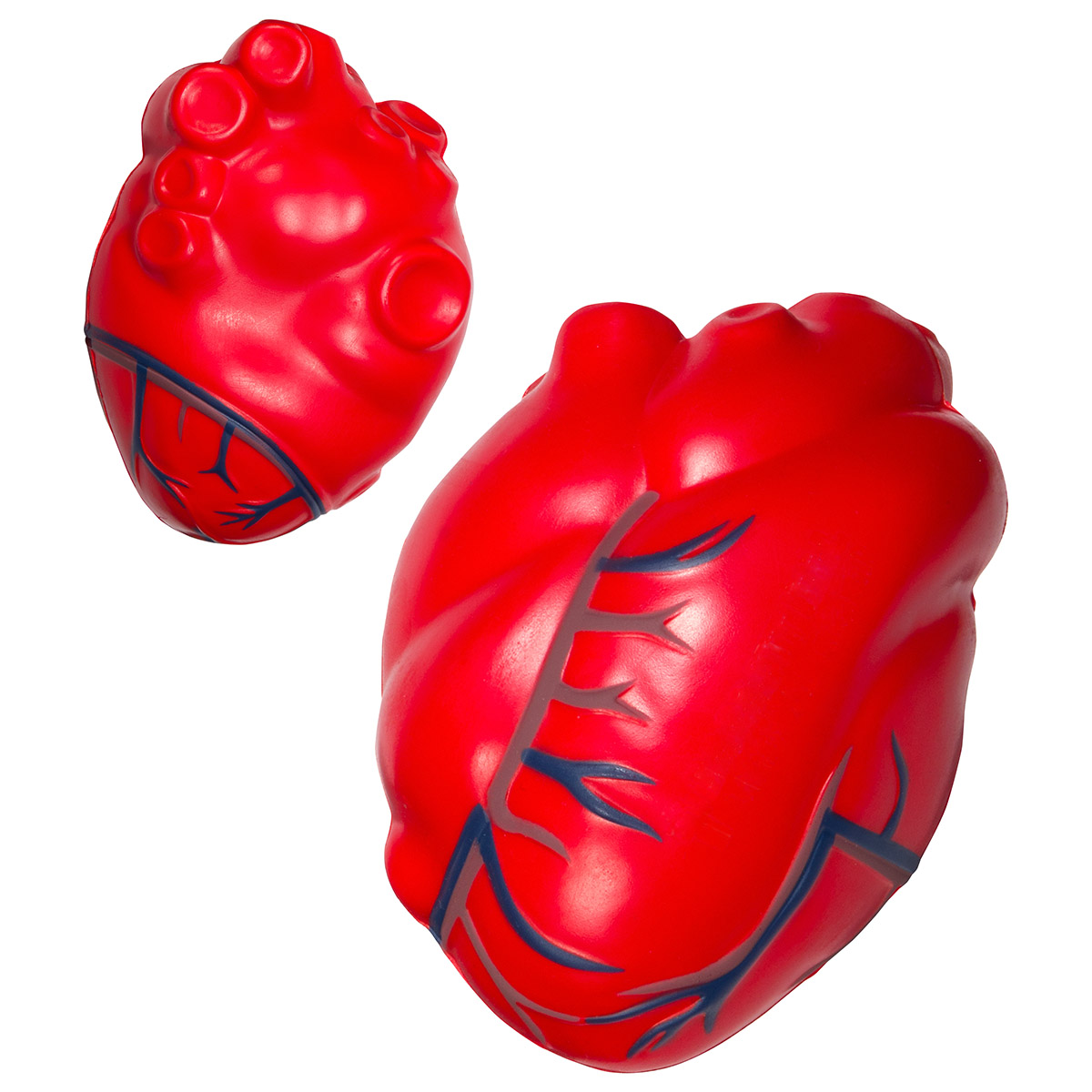 Picture of Heart with Blue Veins Stress Reliever